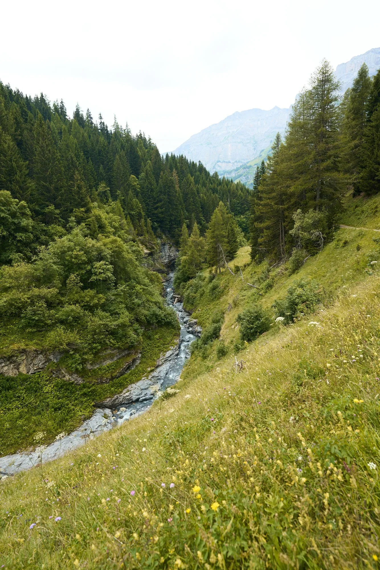 LX004026.webp