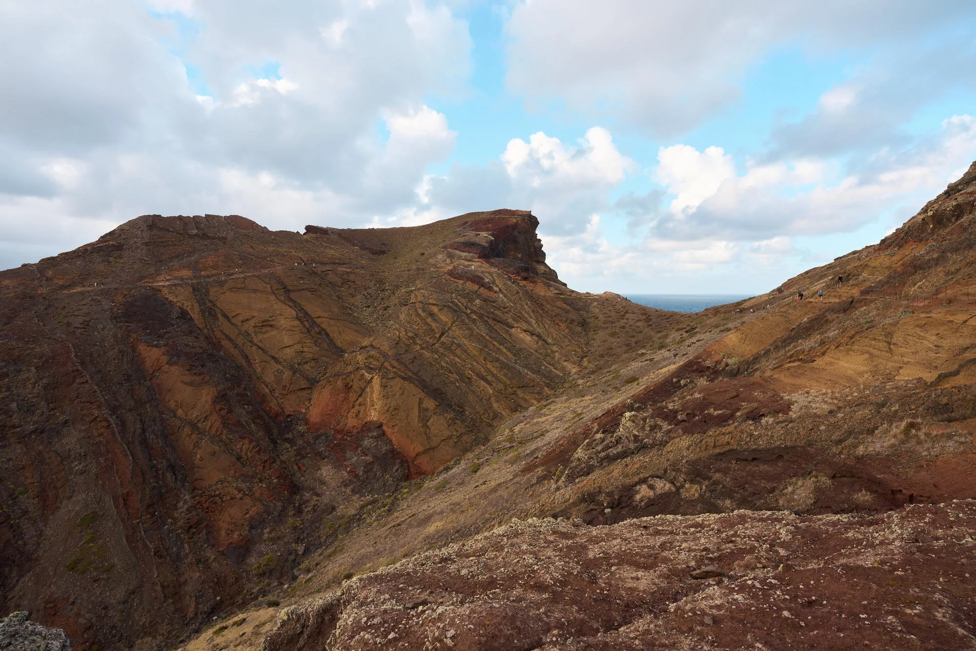LX001541.jpg