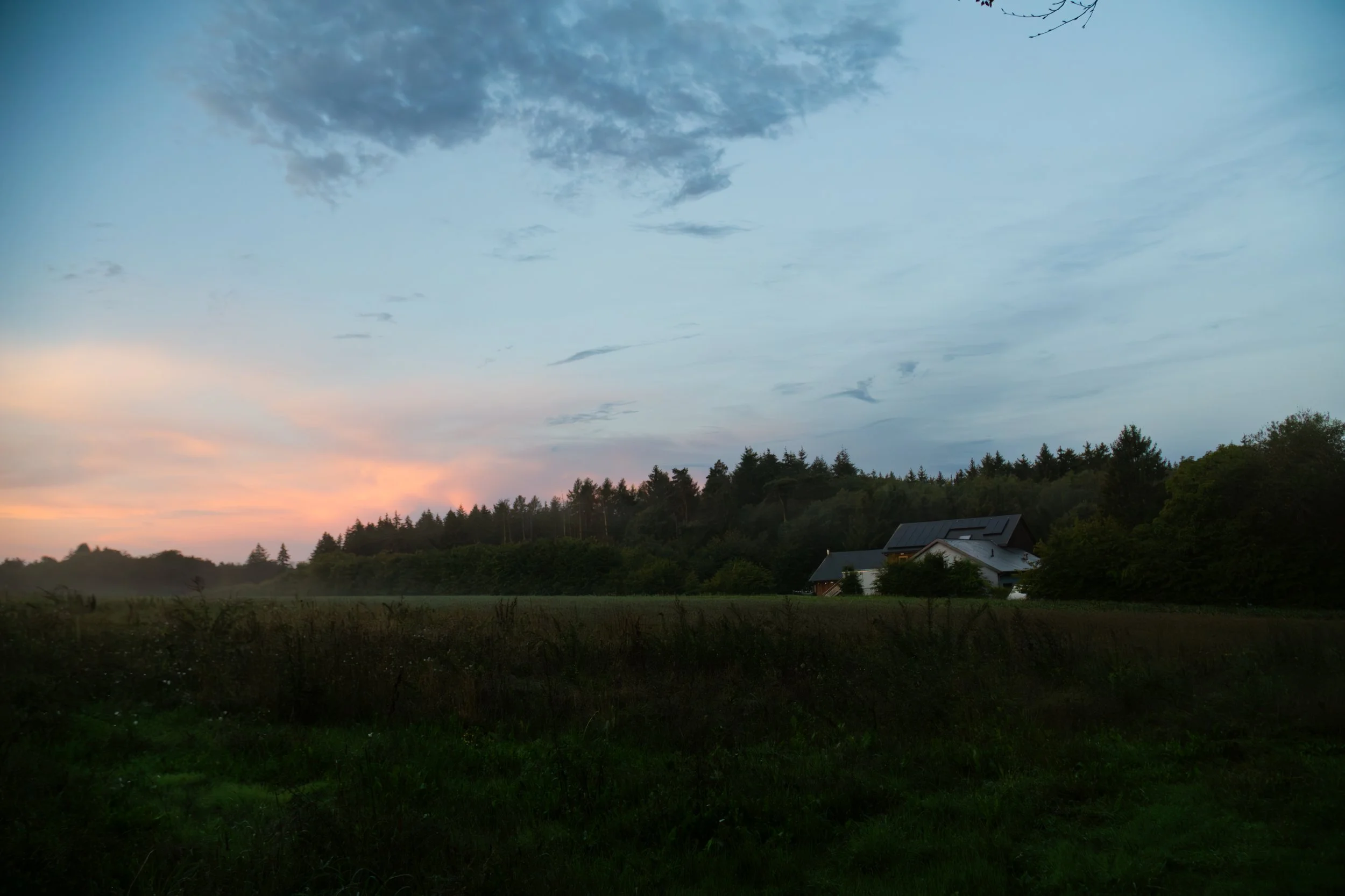 DSC07147-Enhanced-NR.jpg