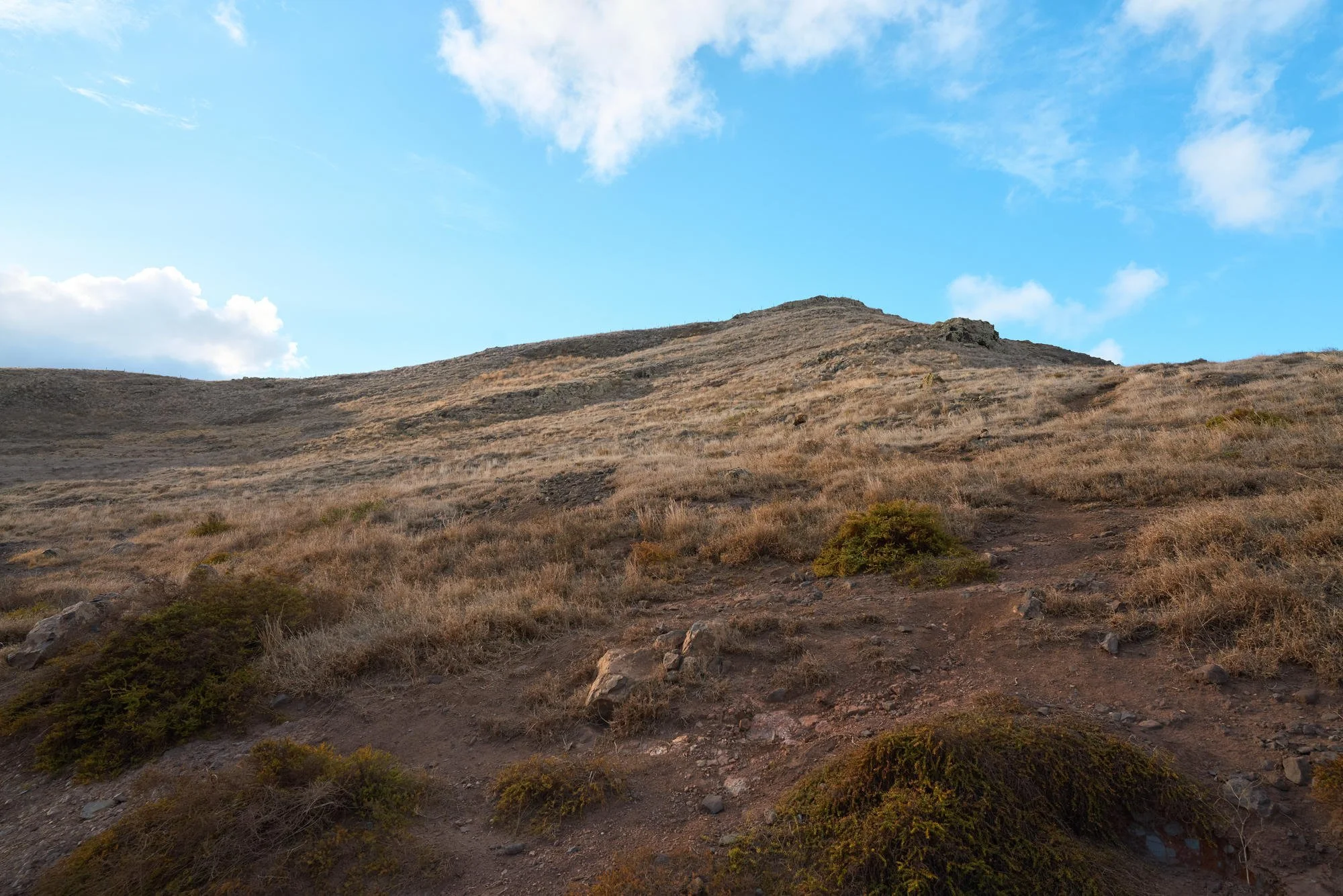 LX001594.jpg
