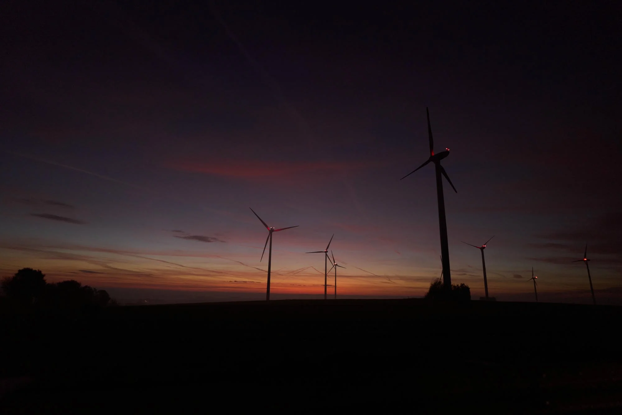 LX000908.jpg