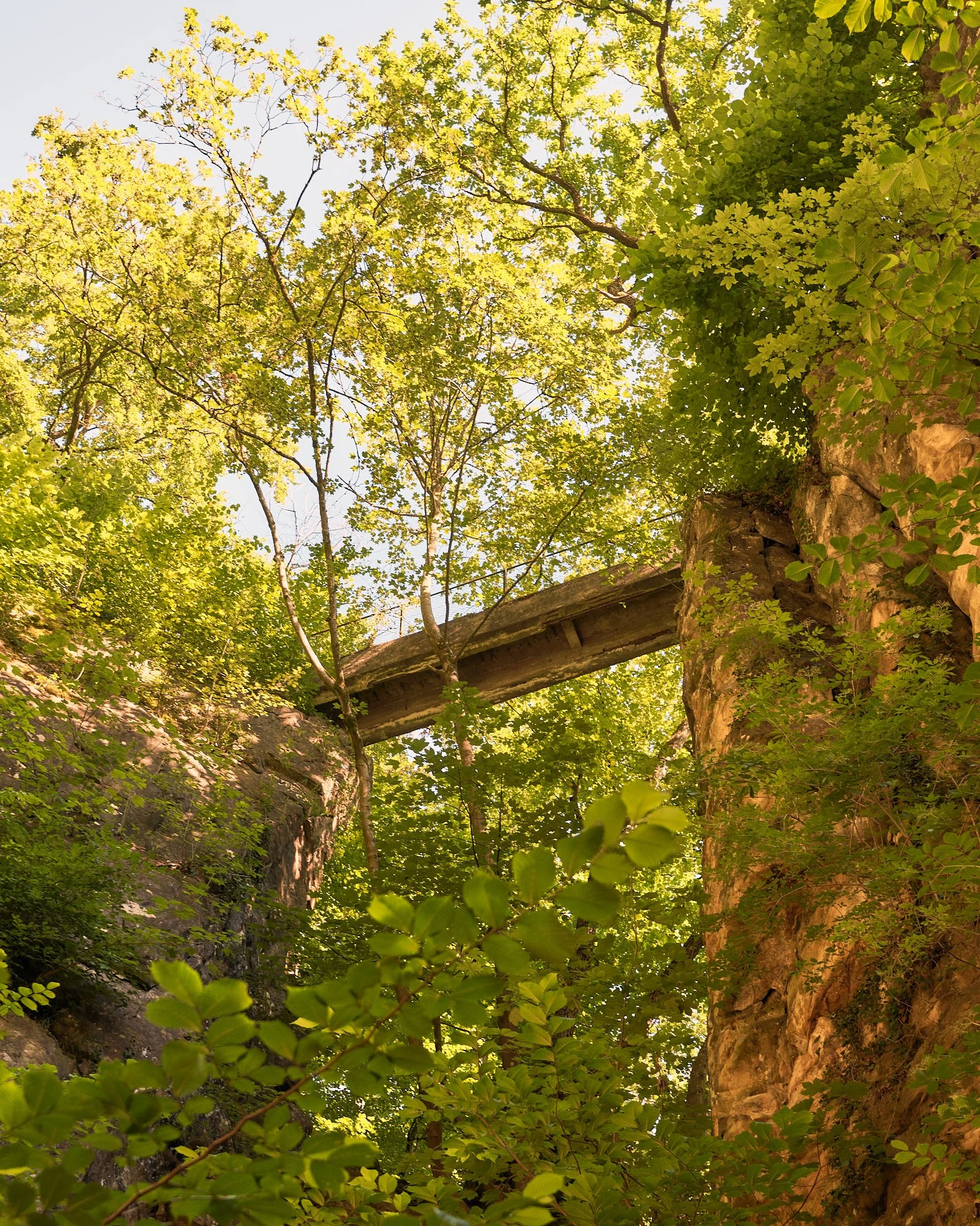 WEB WY_00050_HDR.jpg
