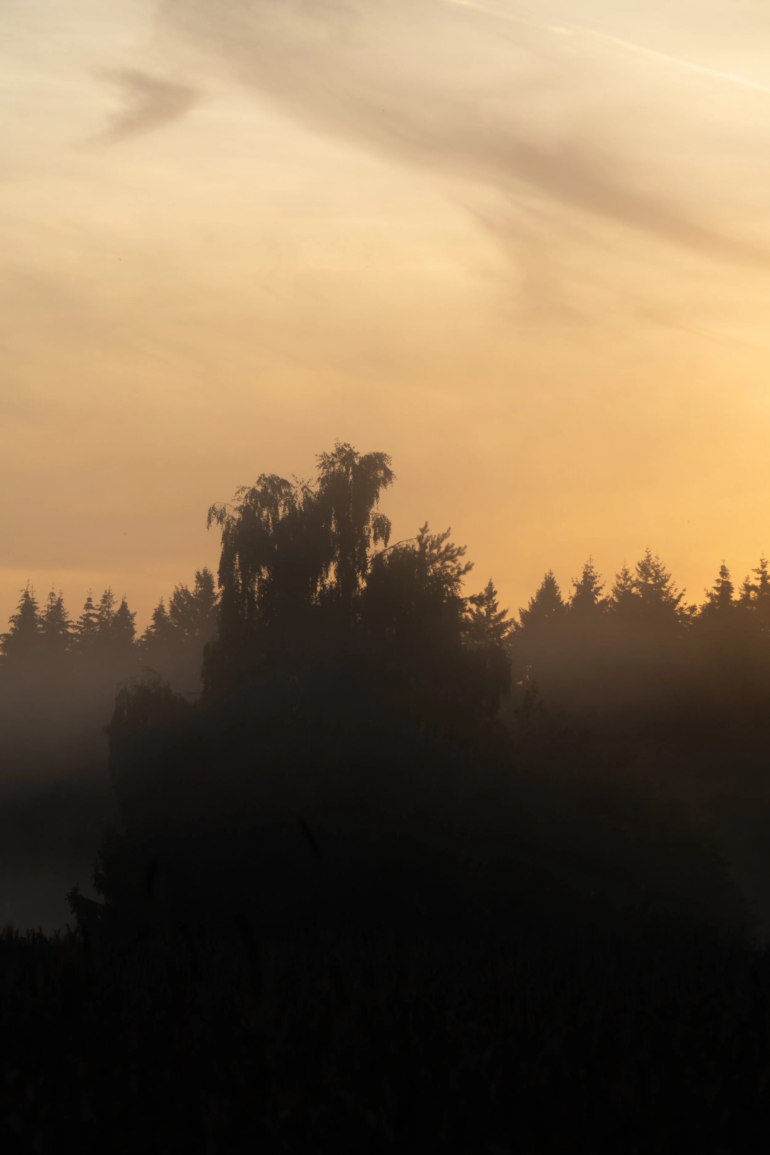 DSC07300-HDR.jpg
