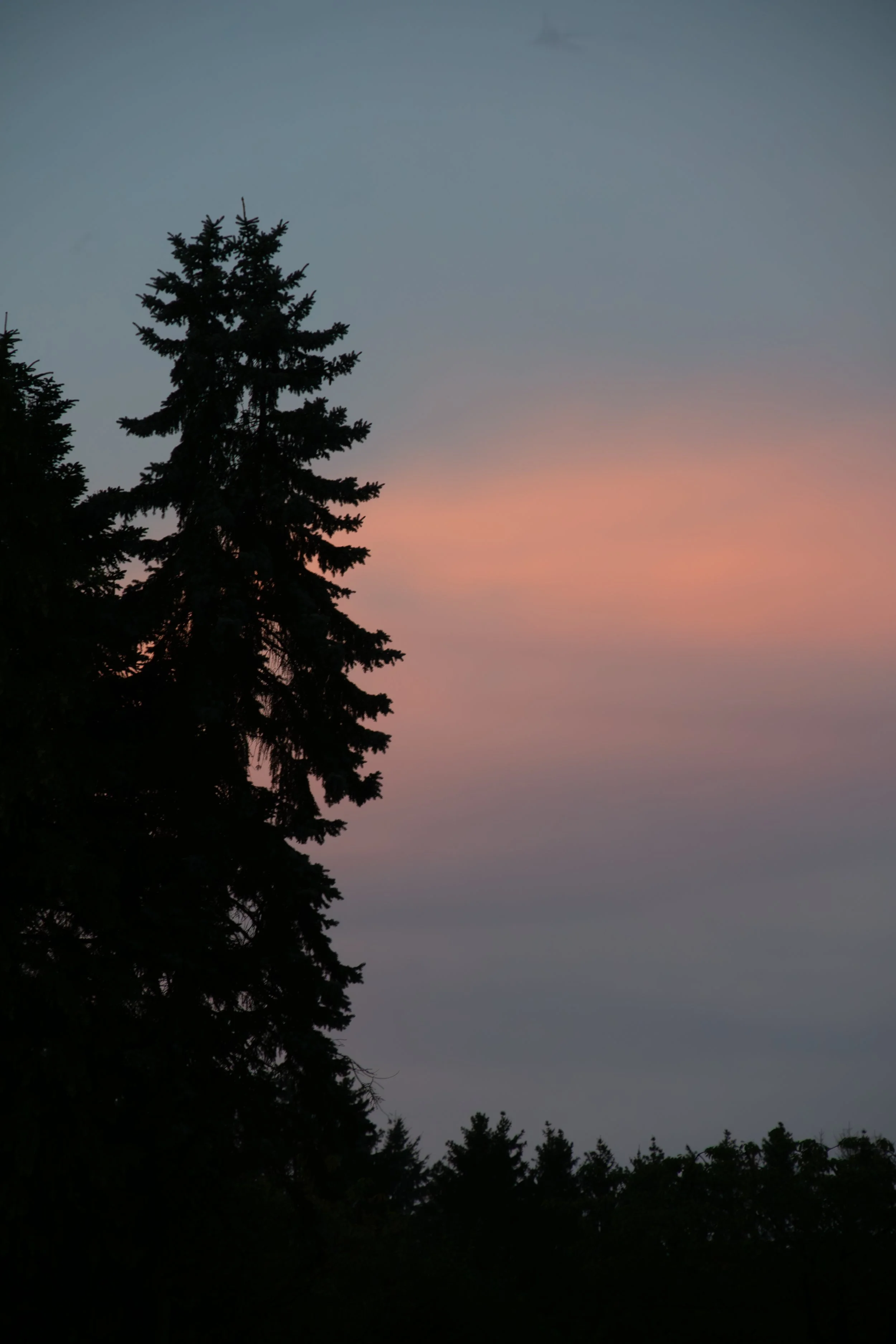 DSC07128-Enhanced-NR.jpg