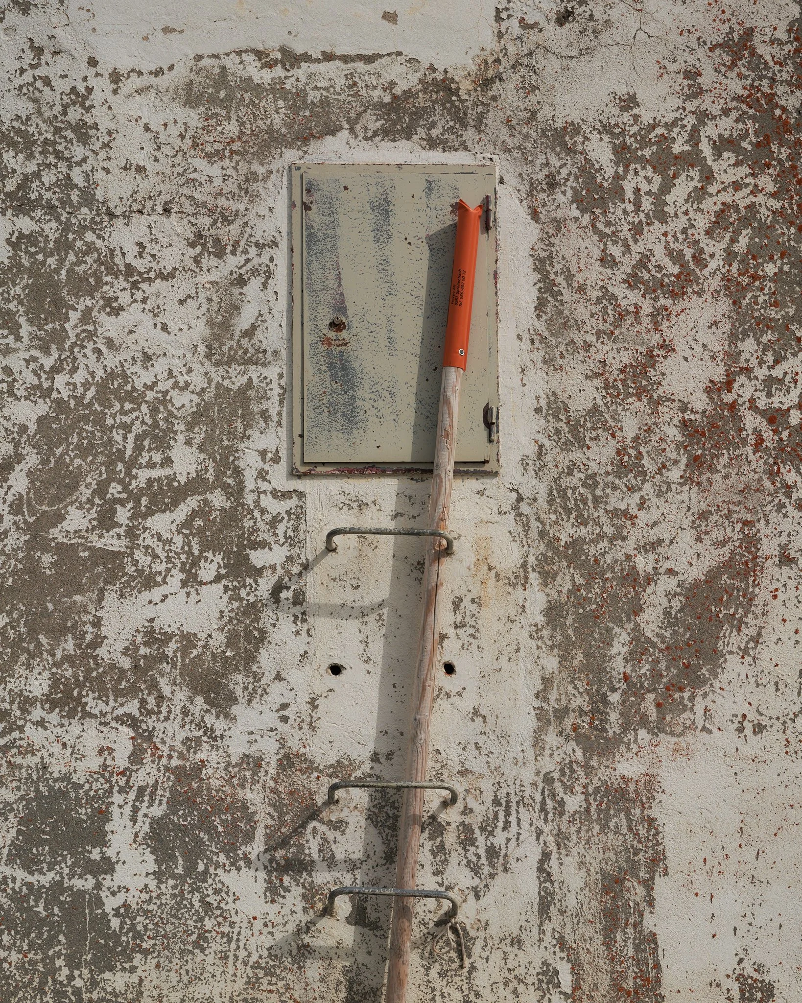 WEB WY_00243.jpg