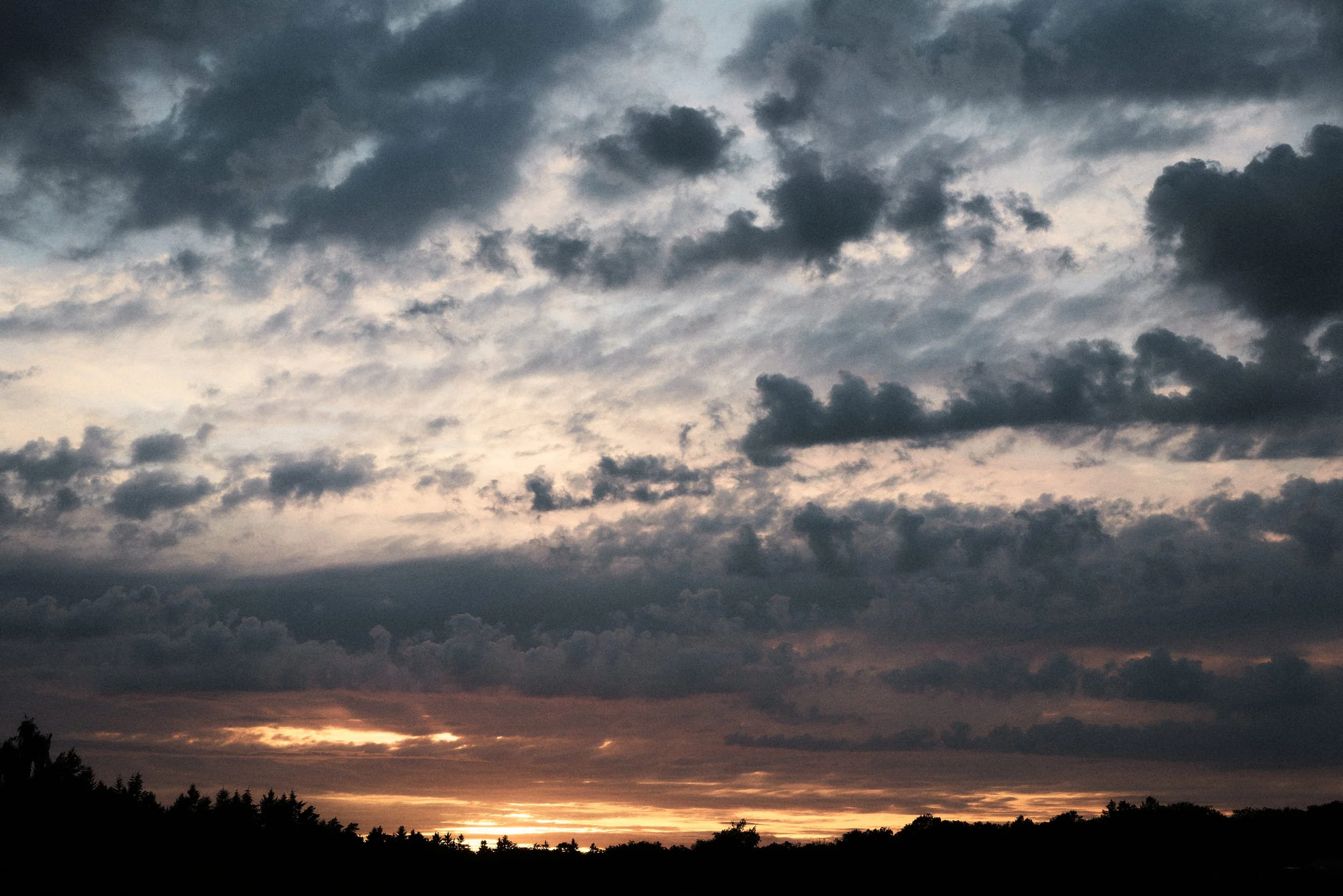 web sunset.jpg