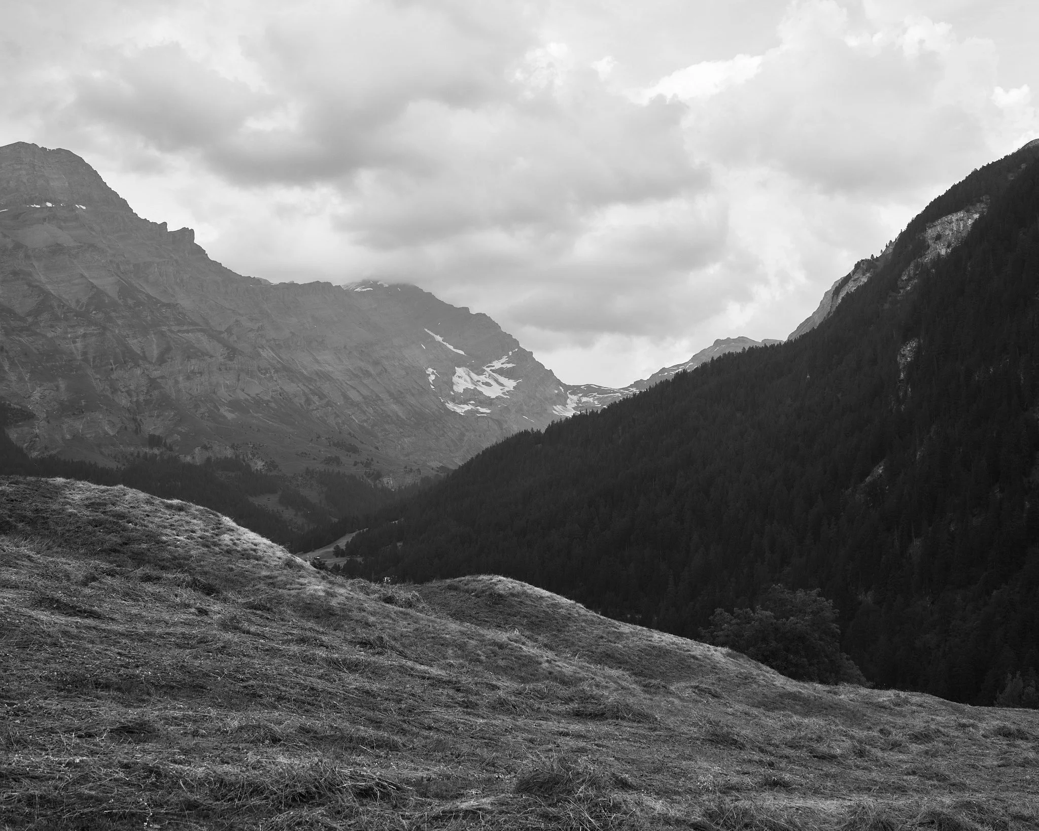 WEB WY_00289.jpg