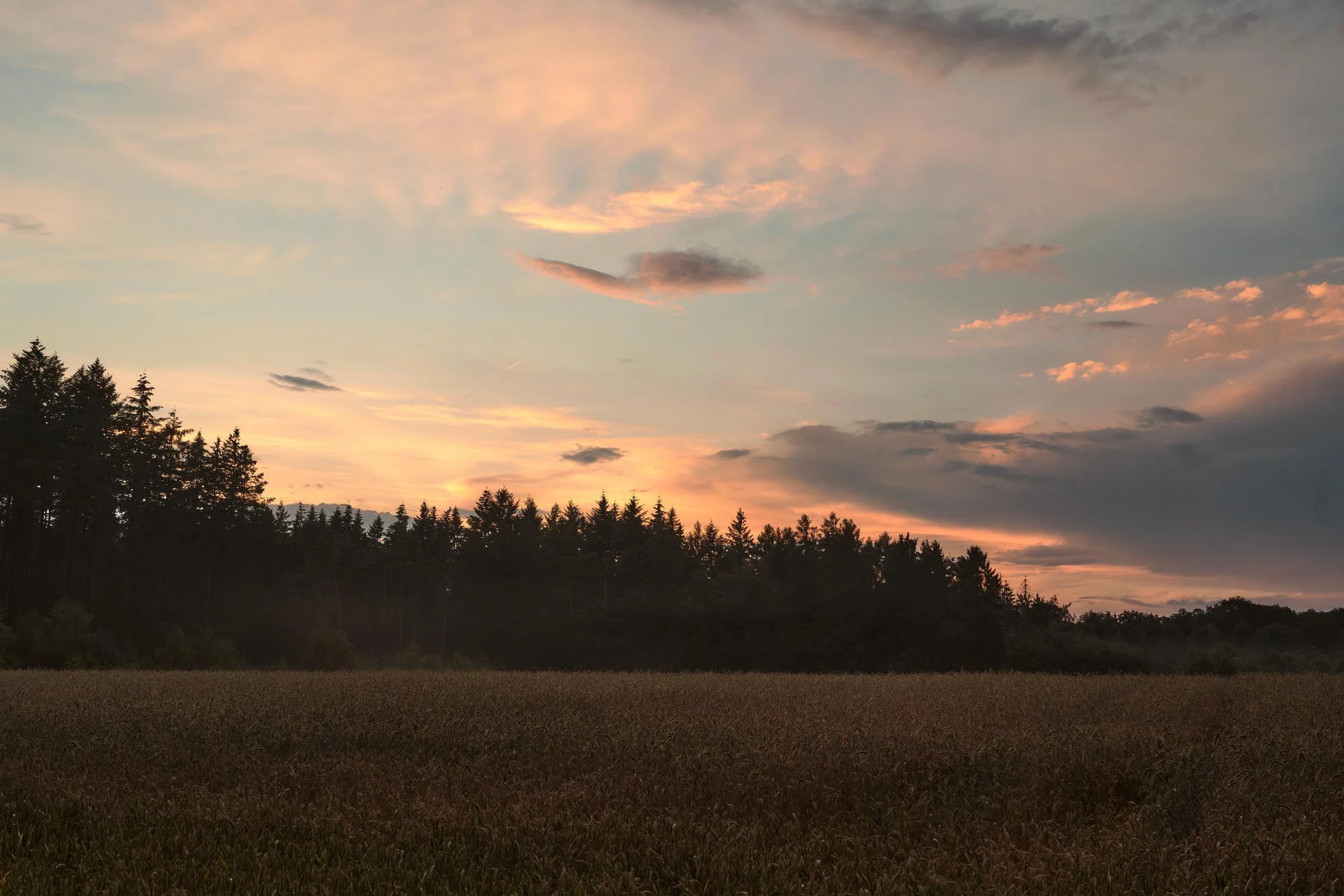 LARGESIZE WY_00070.jpg
