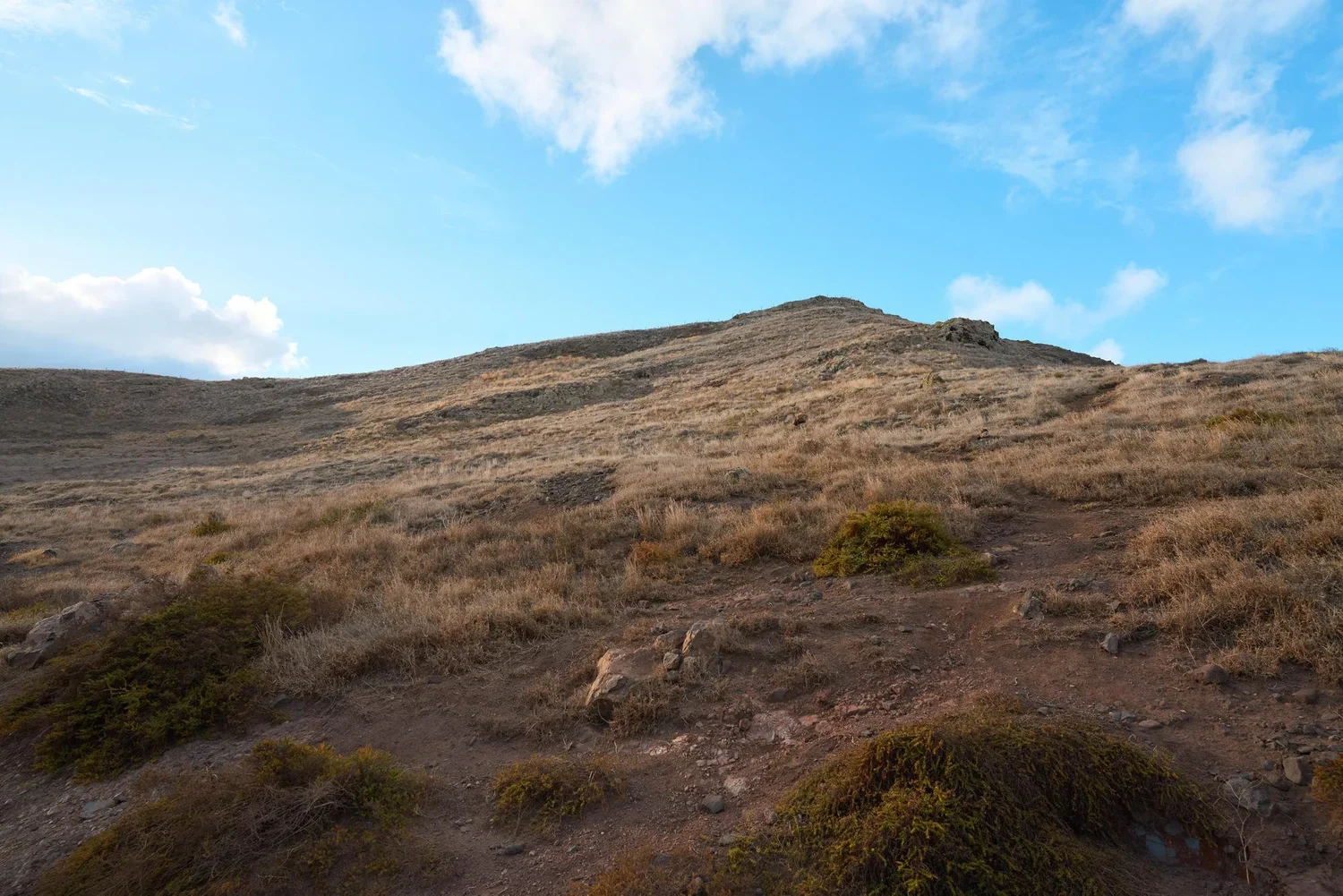 LX001594.webp