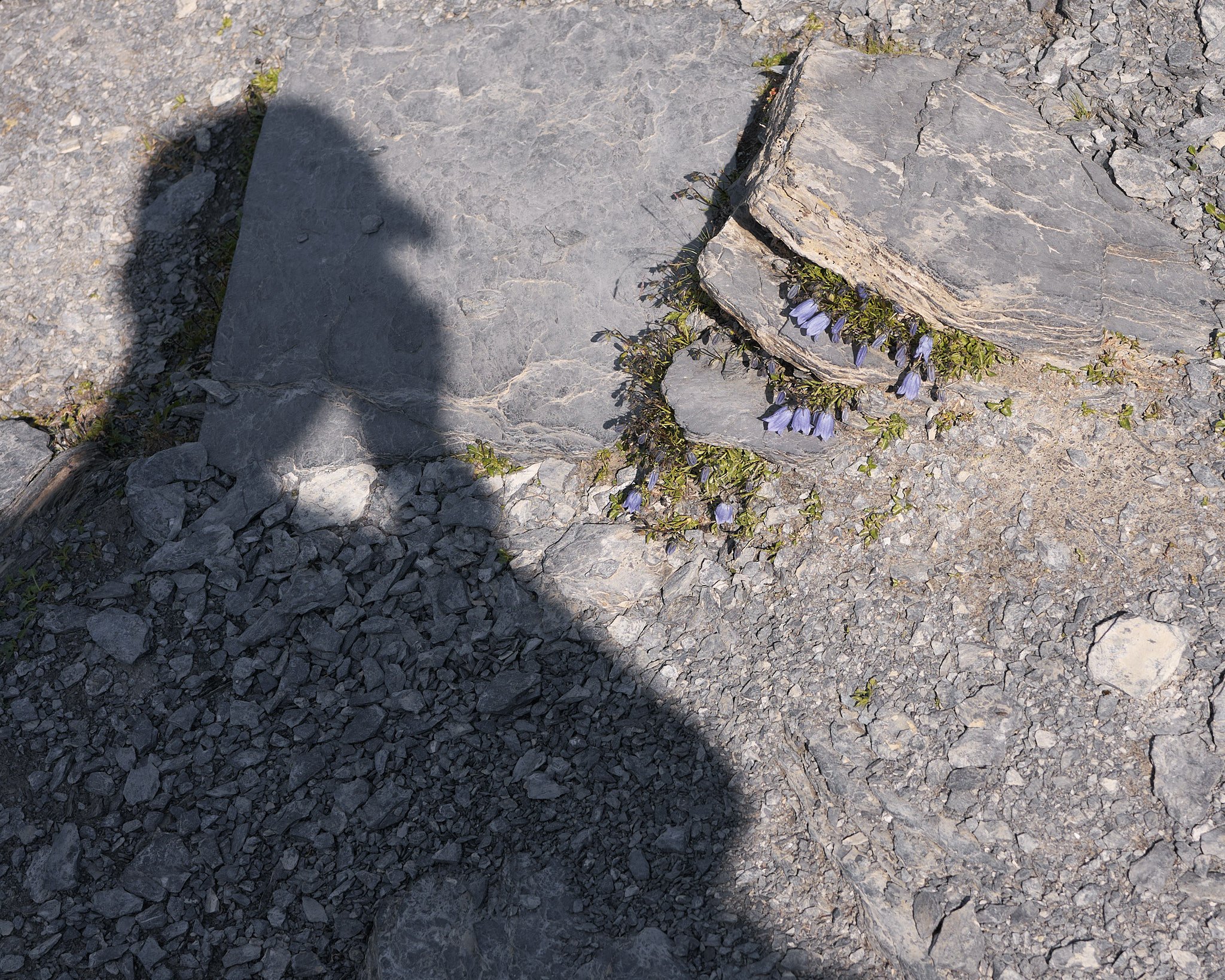 WEB WY_00235.jpg