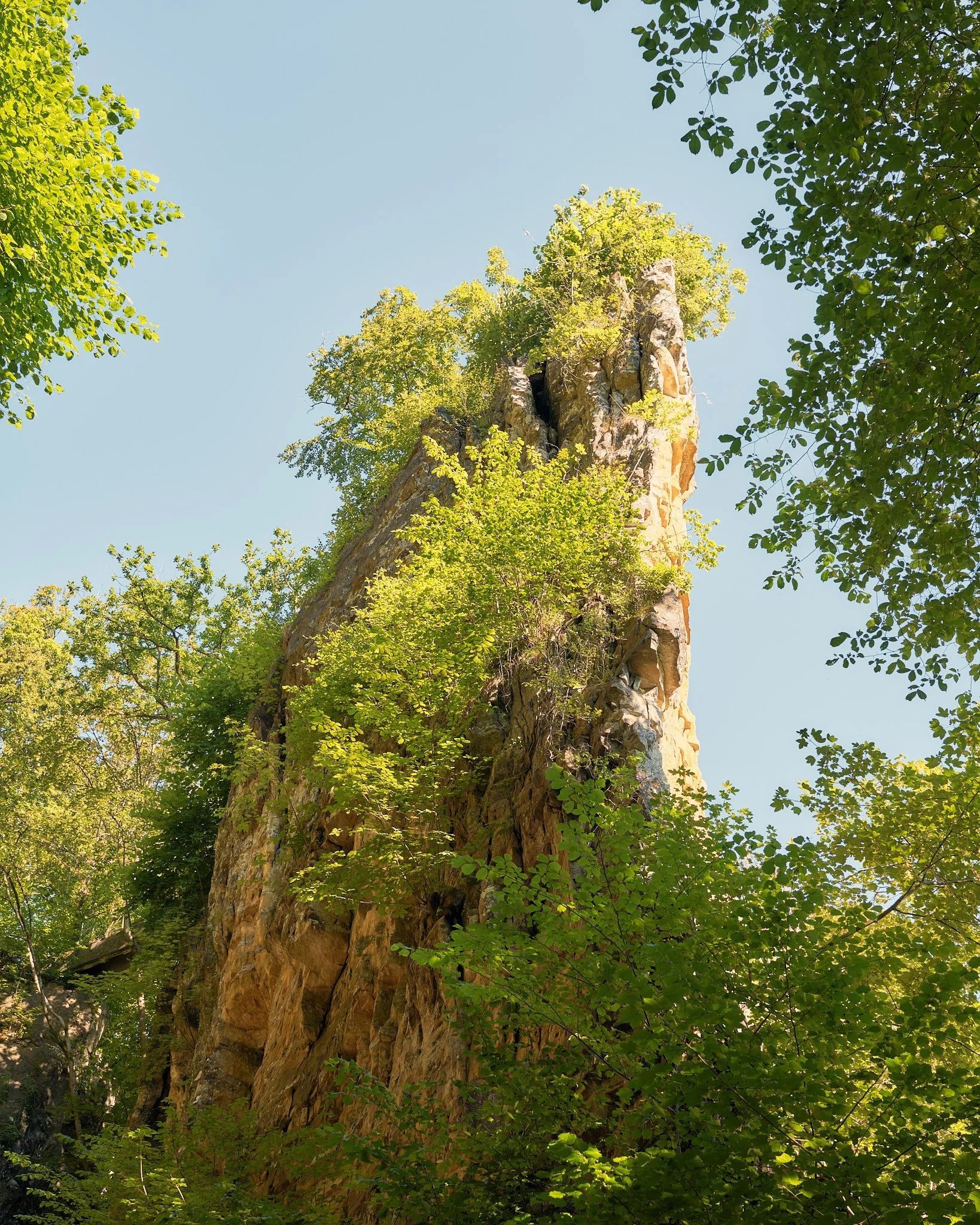 WEB WY_00035_HDR.jpg