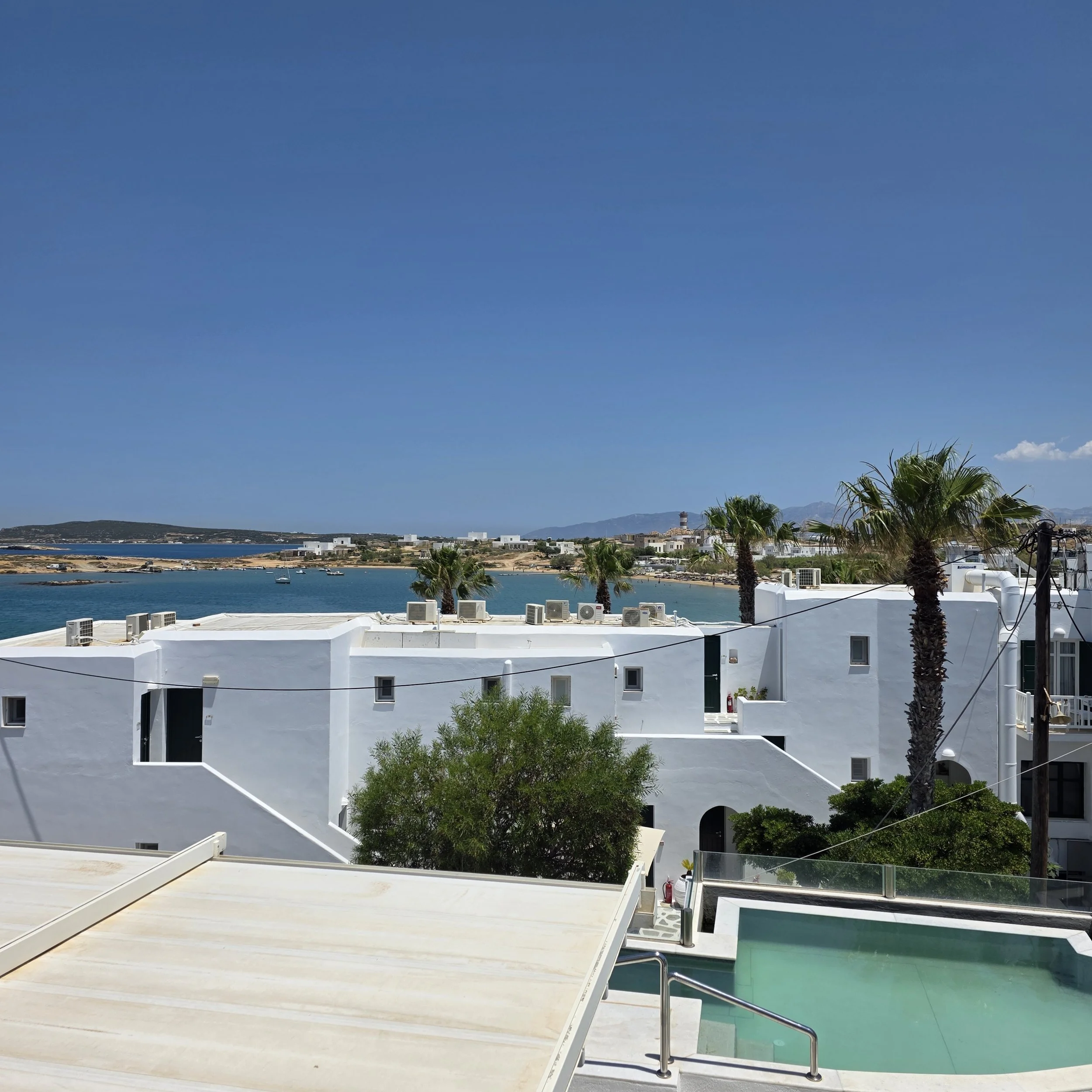 Rooftop pool at Parian Boutique Hotel in Naoussa, Paros, Greece, with palm trees and a view of the bay.