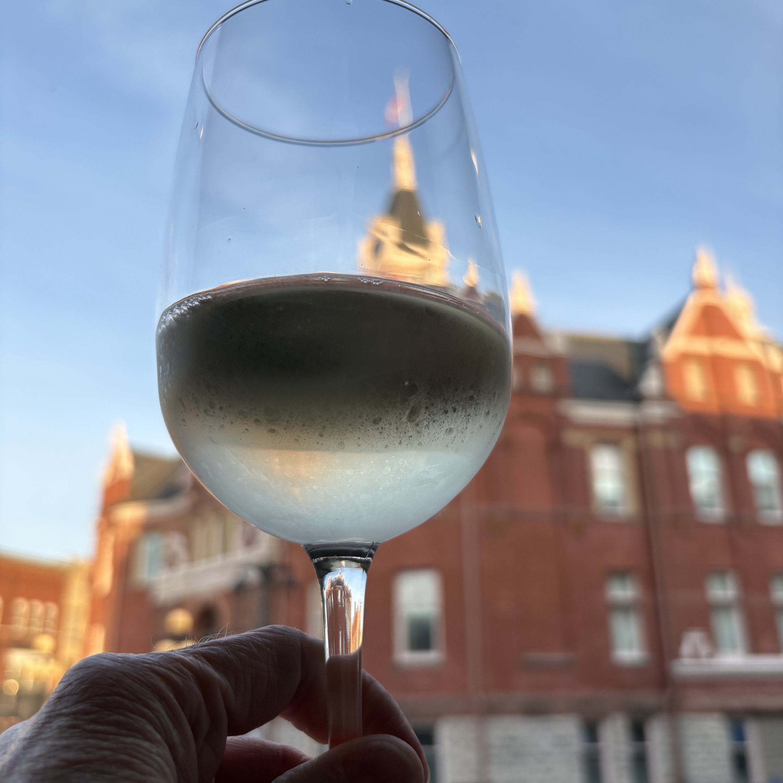 Glass of Wine front window in front of City Hall Stratford Ontario