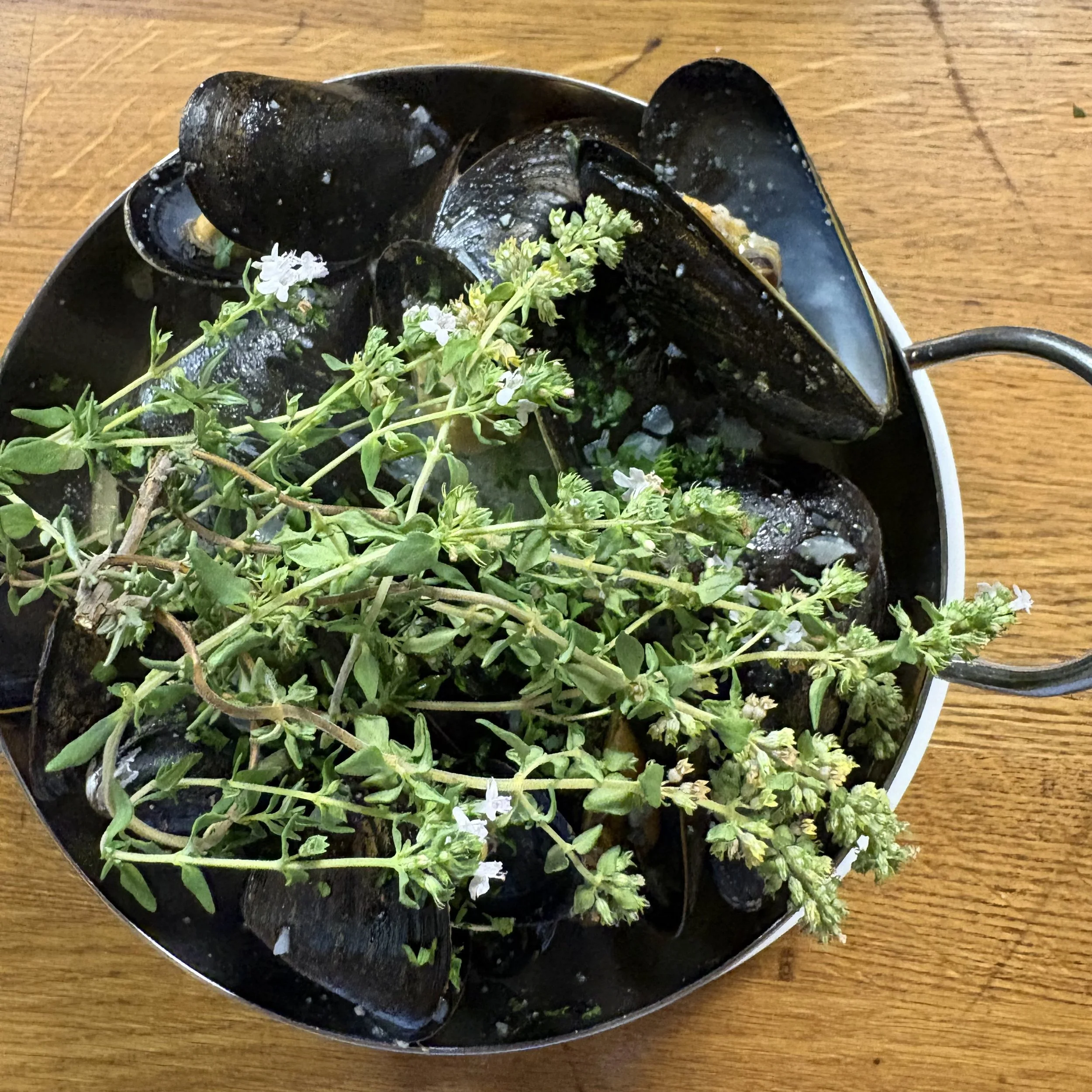 Fresh Prince Edward Mussels with herbs