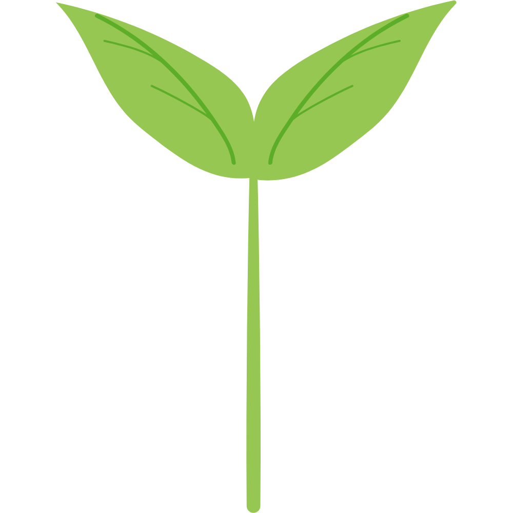 Simple drawing of a green sprout with two leaves on a transparent background.