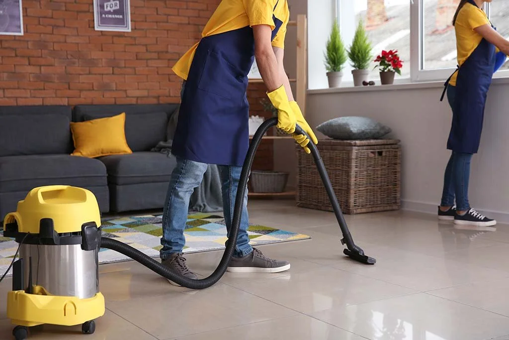 People cleaning a living room with a vacuum cleaner, with a sofa, pillows, and plants visible in the background.