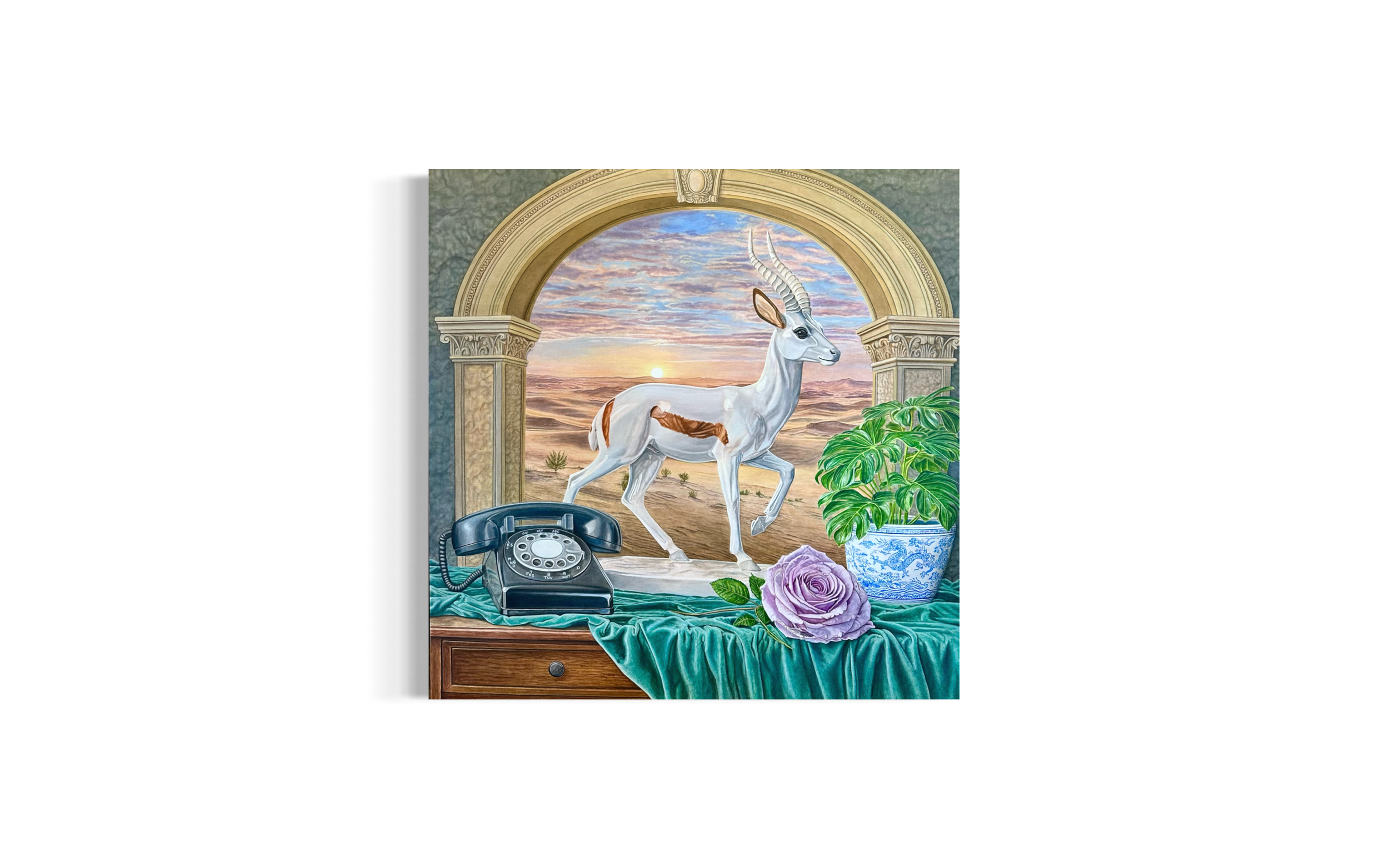 Springbok