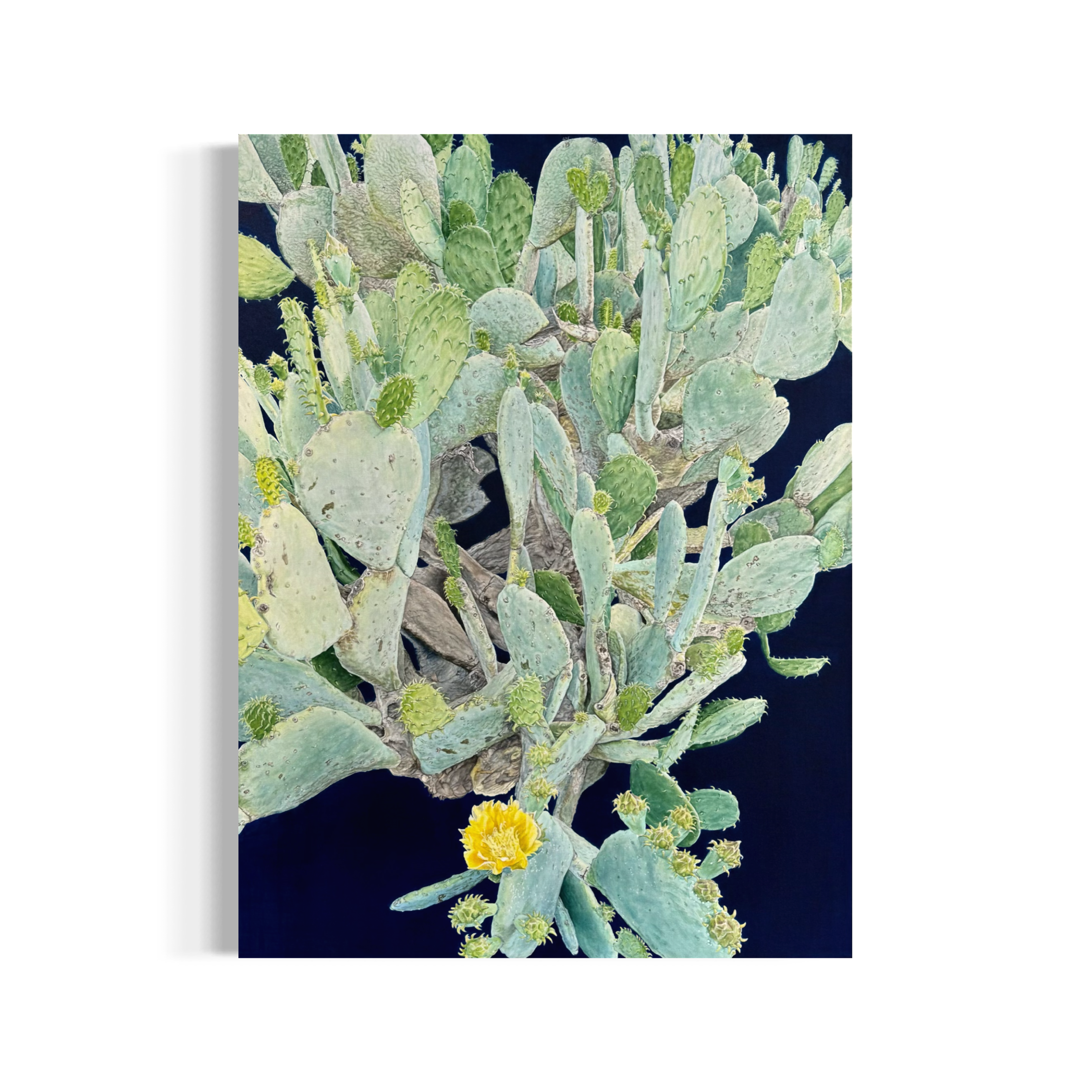 Prickly Pear