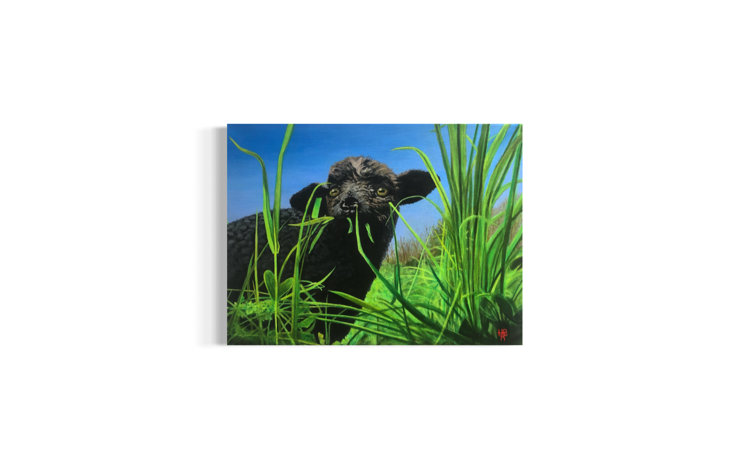 Lamb | 16" x 12"