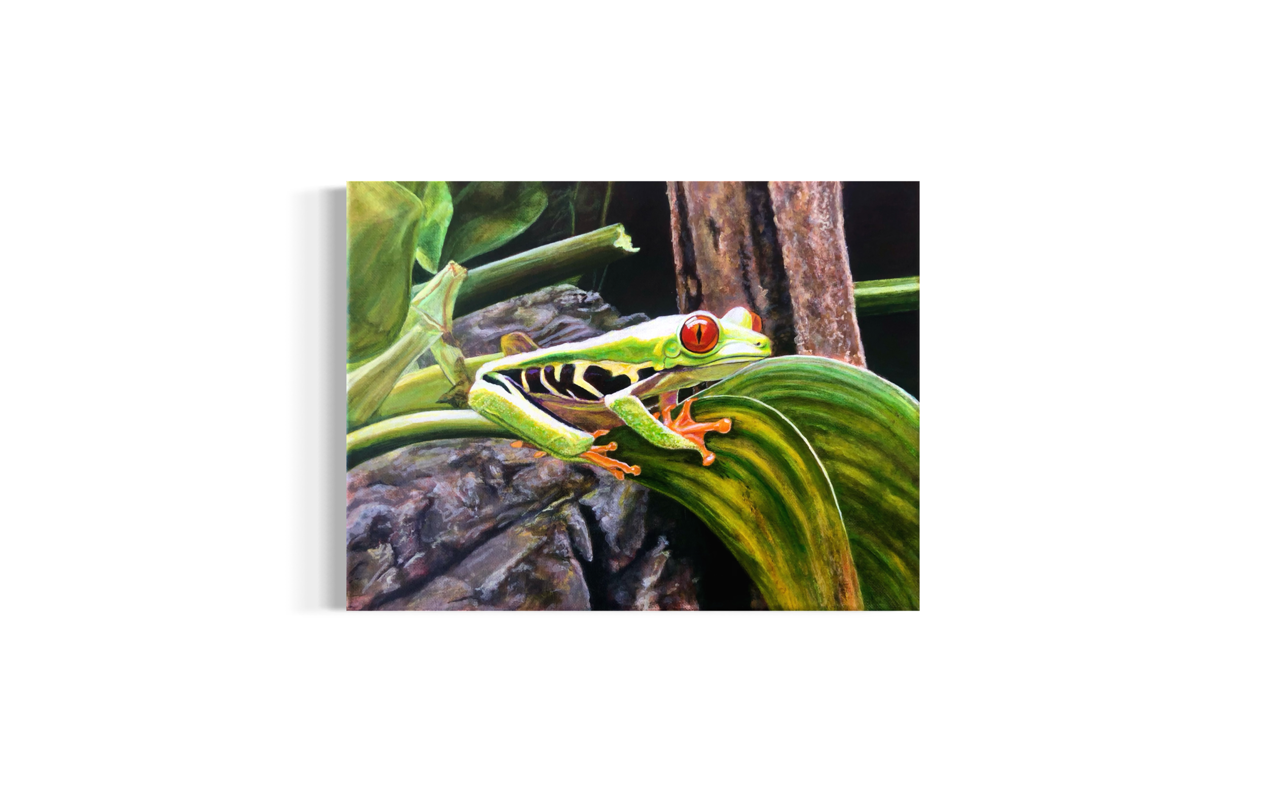 IMG_2212.PNG