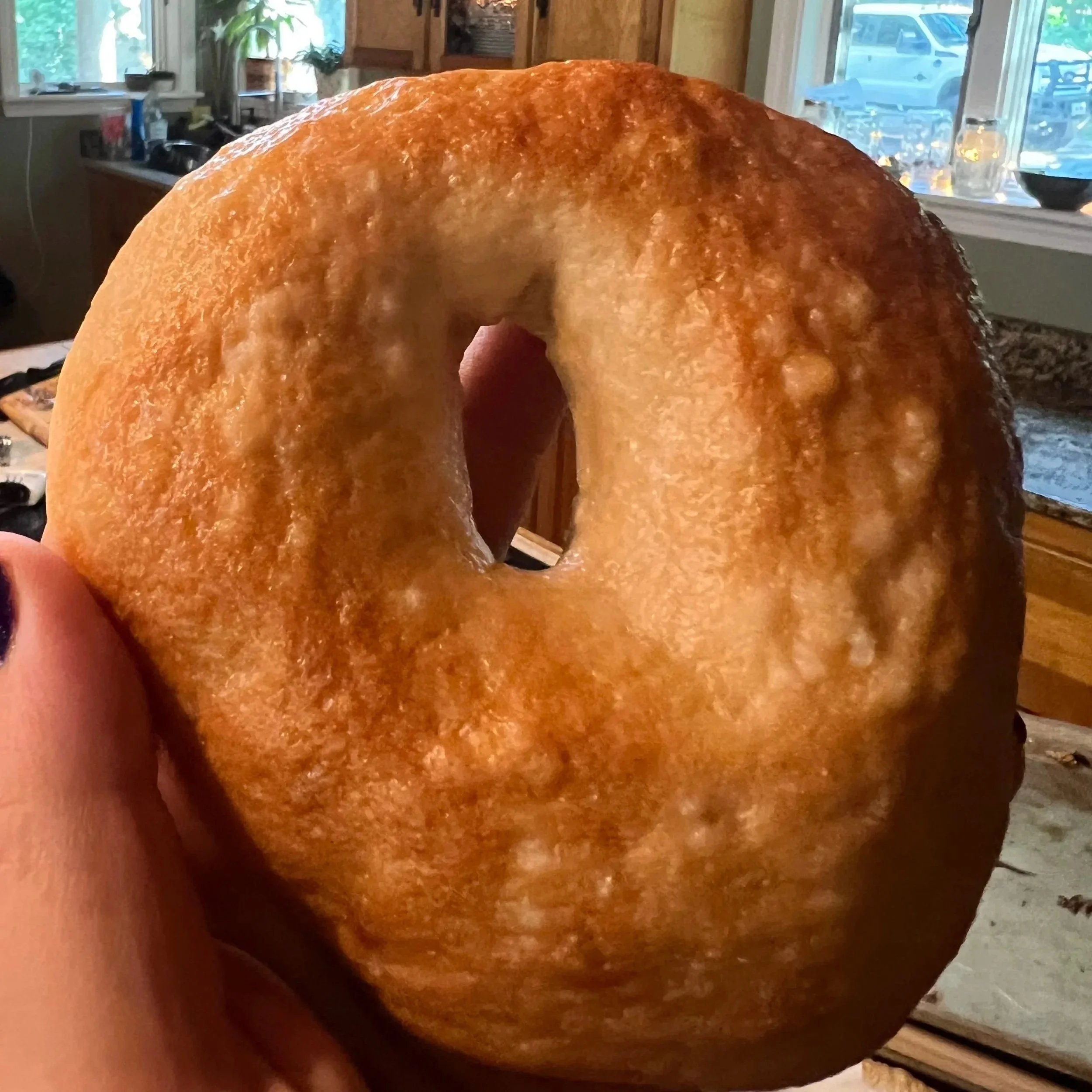 October Sourdough Starter Gathering - Gluten Free* - Oct. 16