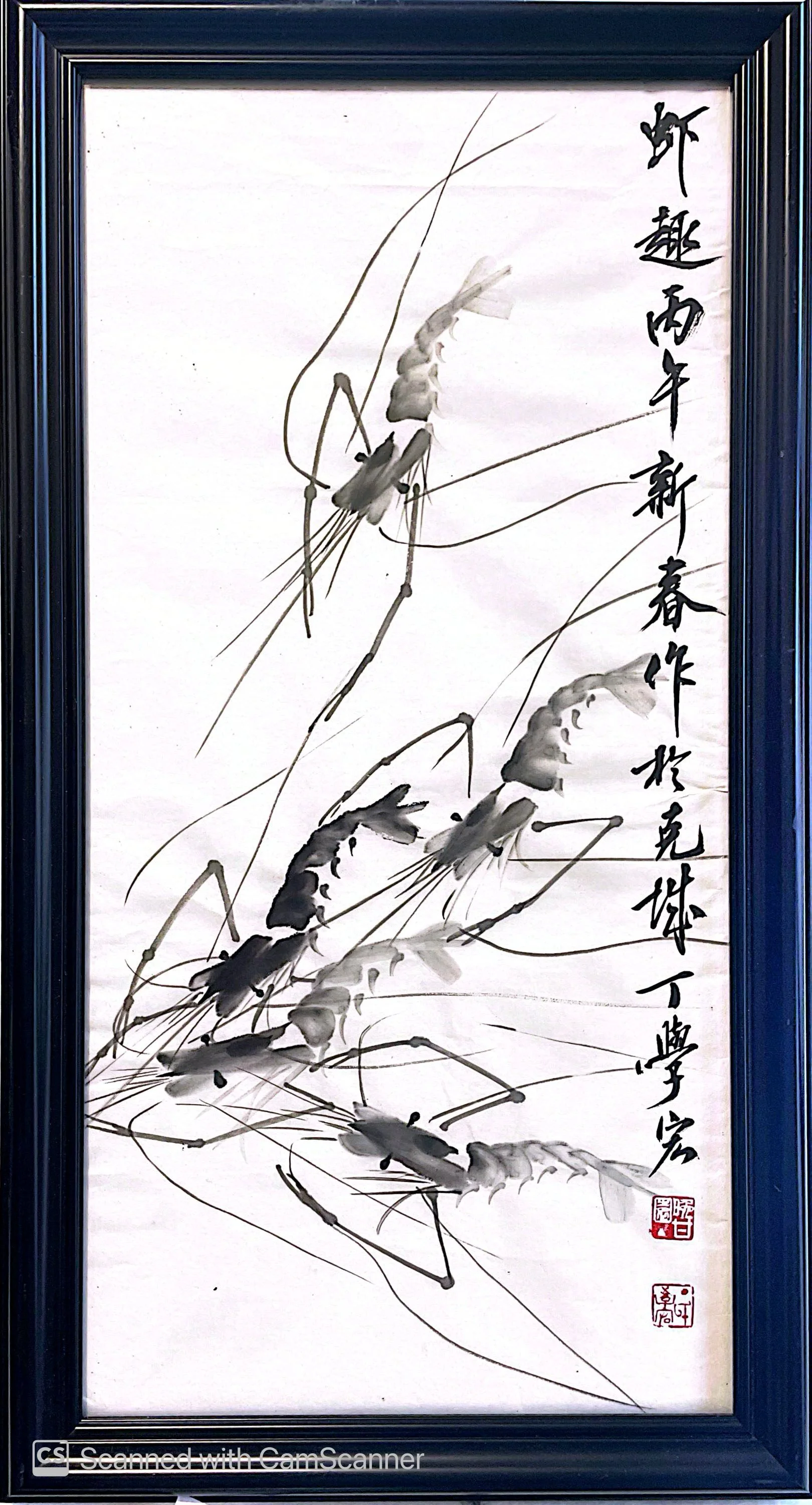 虾趣图 Shrimps at Play
