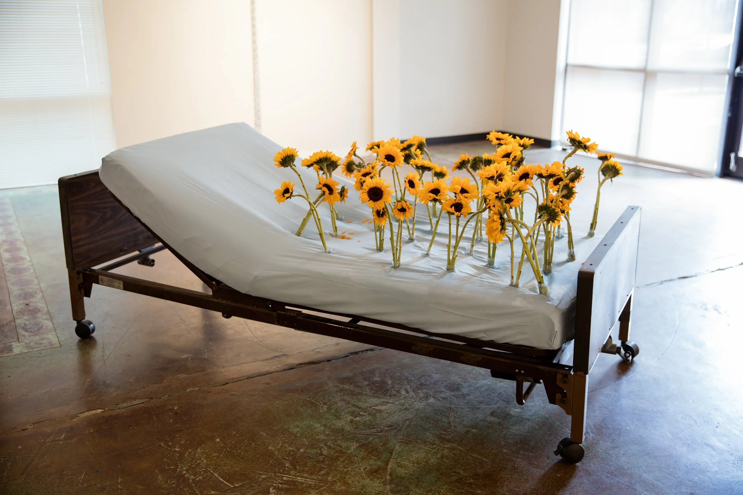 Evocative Objects (solo exhibition), CFA Downtown Gallery, Albuquerque, New Mexico, 2016