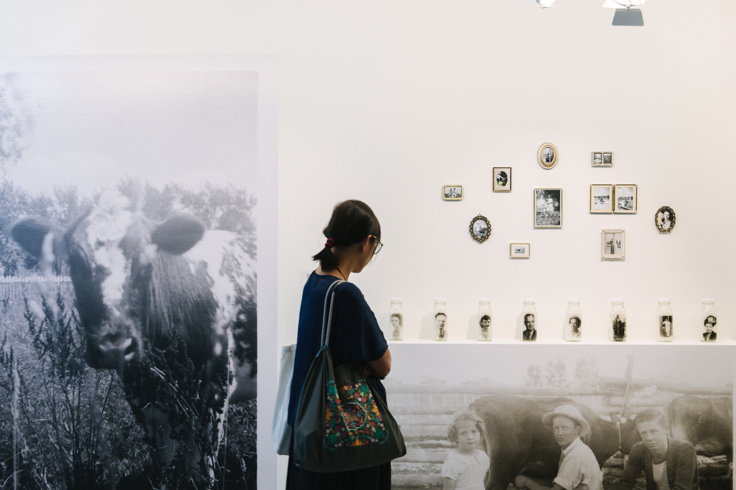Singapore International Photography Festival