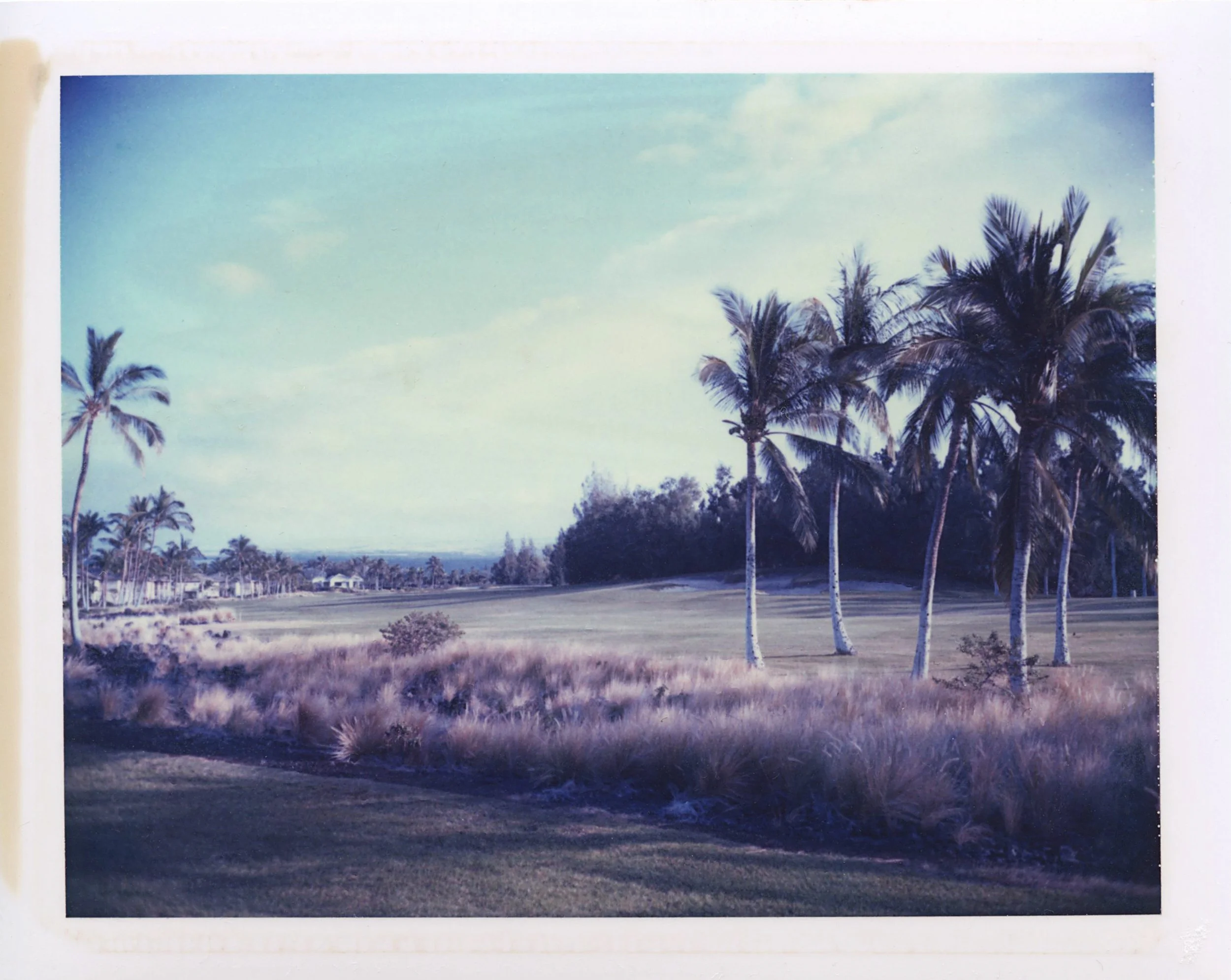 maui003.jpg