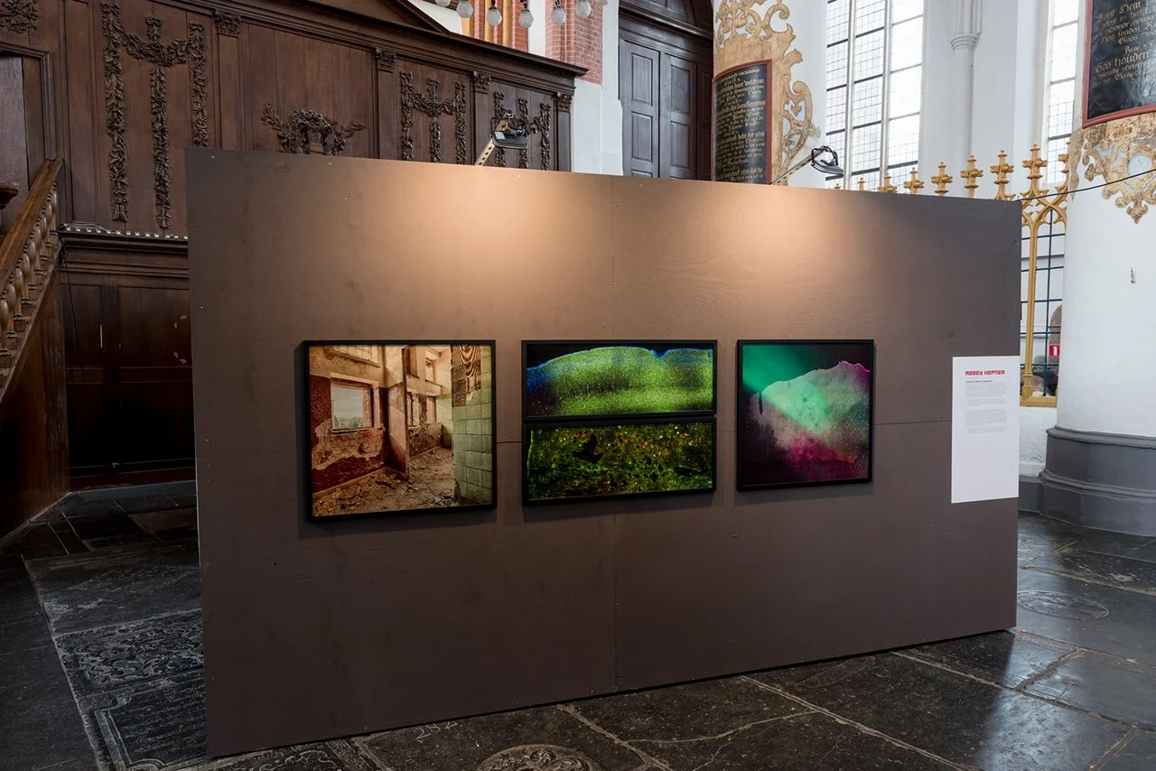 Noorderlicht Photo Festival, Groningen, Netherlands, 2017 (photo courtesy of www.noorderlicht.com)