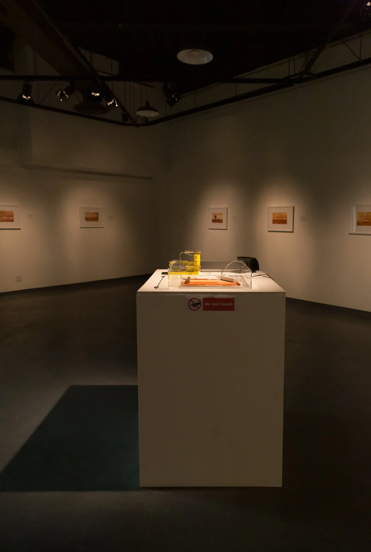 Solo Exhibition, John Sommers Gallery, University of New Mexico, 2014