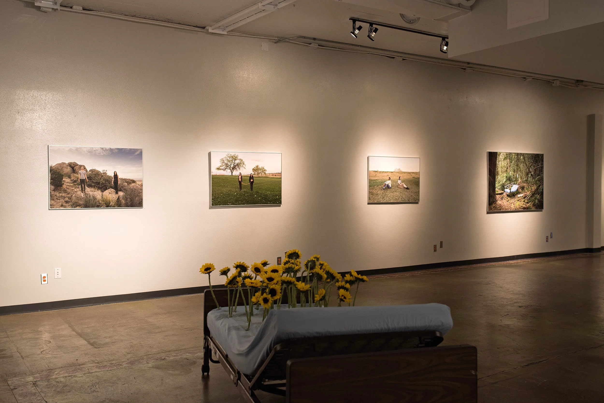 Evocative Objects (solo exhibition), CFA Downtown Gallery, Albuquerque, New Mexico, 2016