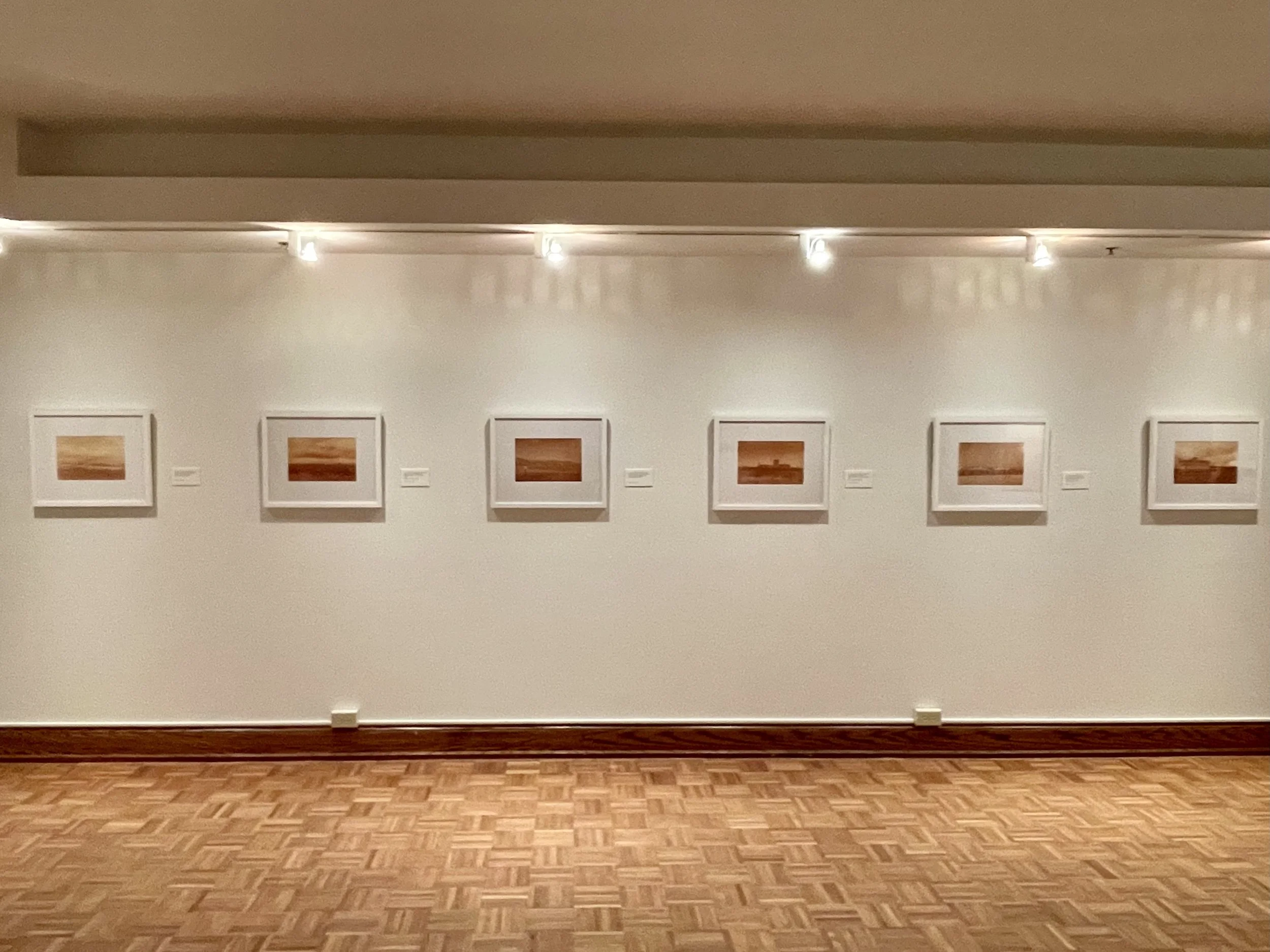 Redacted Landscapes (Solo Exhibition), Sheldon Art Galleries, St. Louis, Missouri, 2021