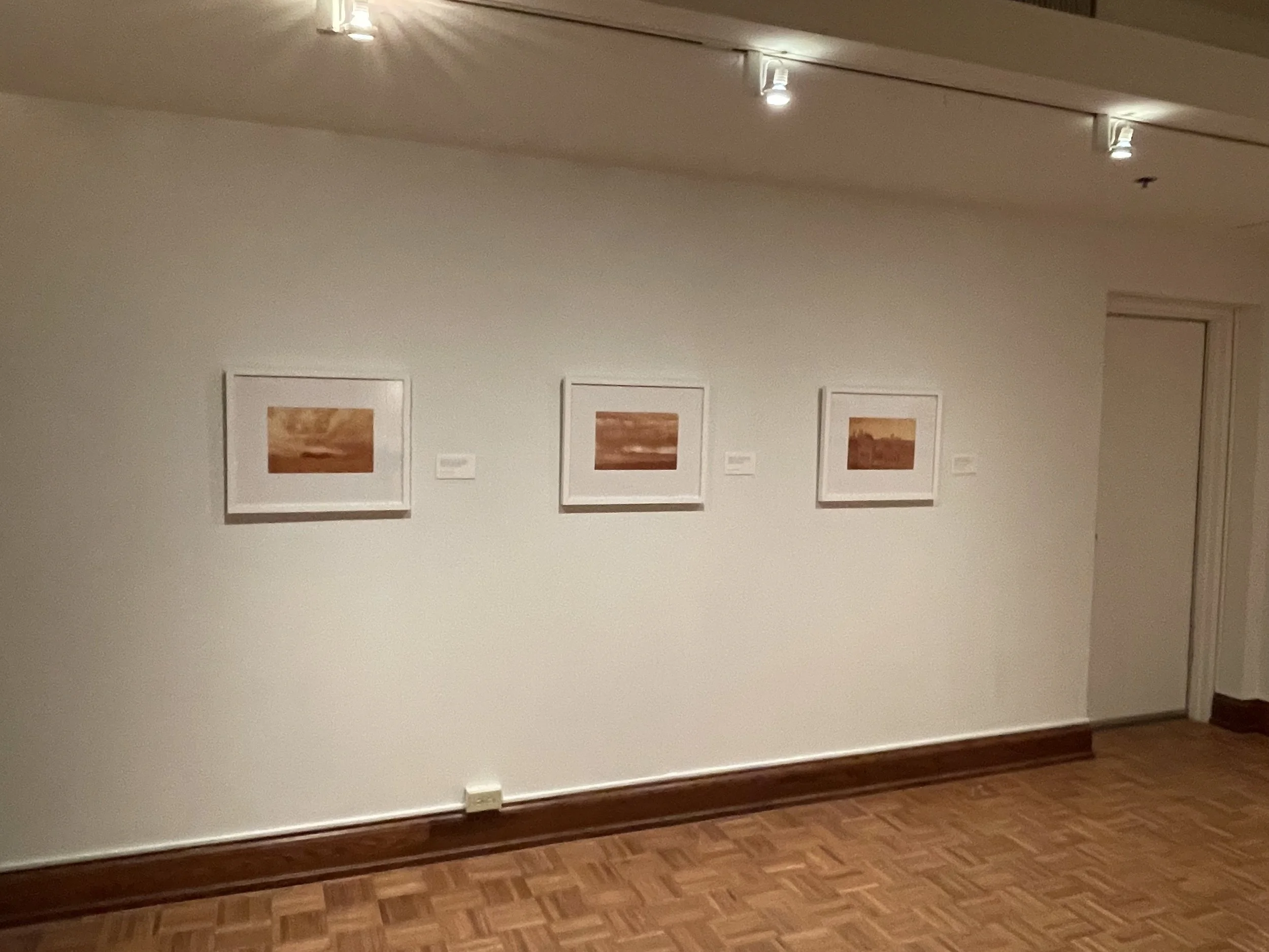 Redacted Landscapes (Solo Exhibition), Sheldon Art Galleries, St. Louis, Missouri, 2021