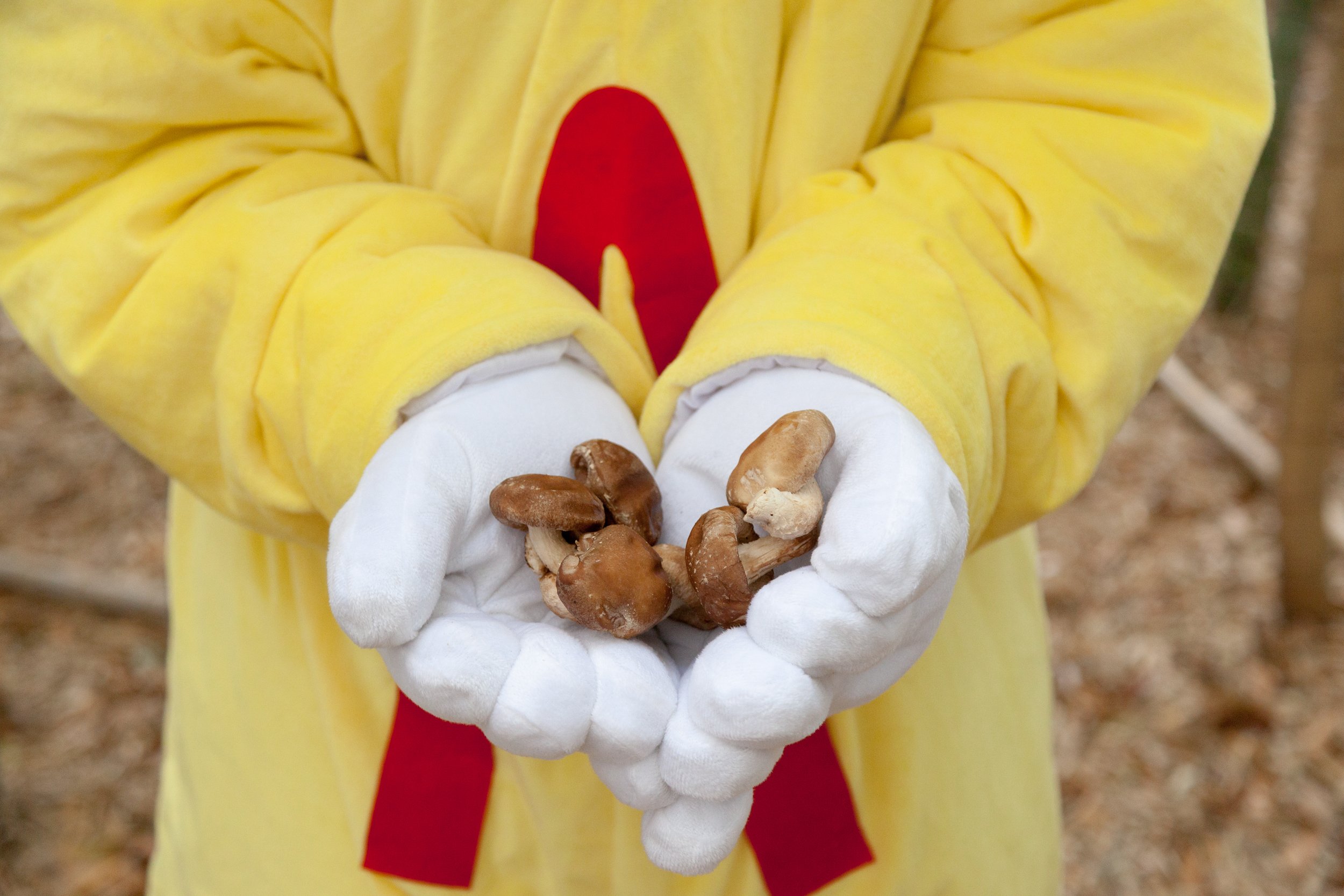 AbbeyHepner_NuclearMascot-3.jpg
