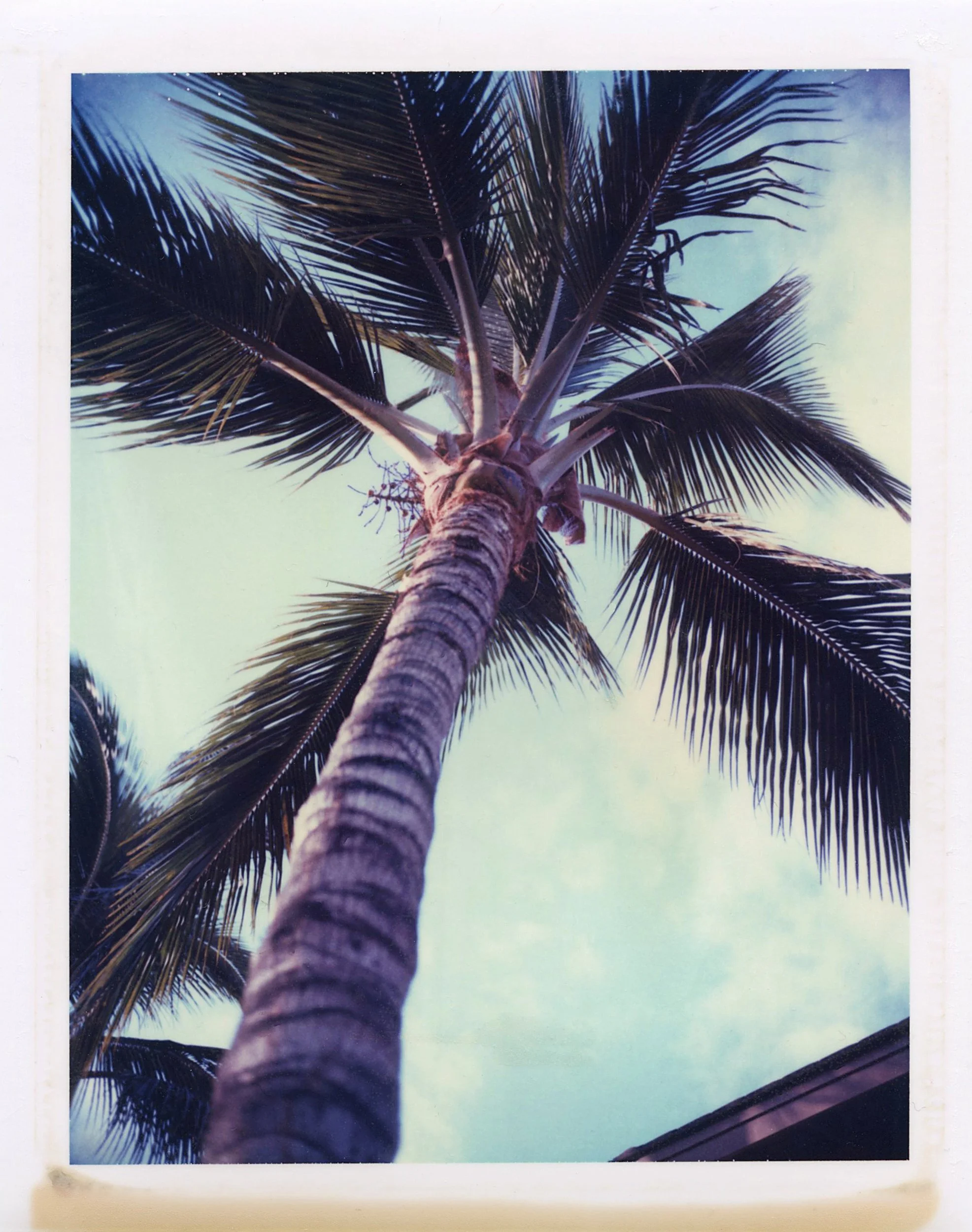 maui001.jpg