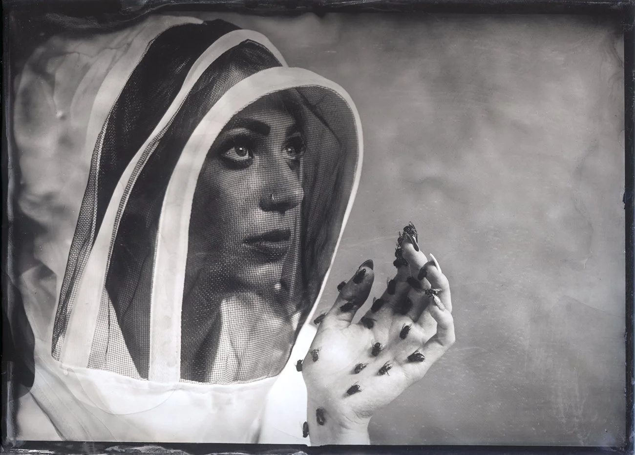 Telling The Bees, 5"x7" Wet Plate Collodion Ambrotype