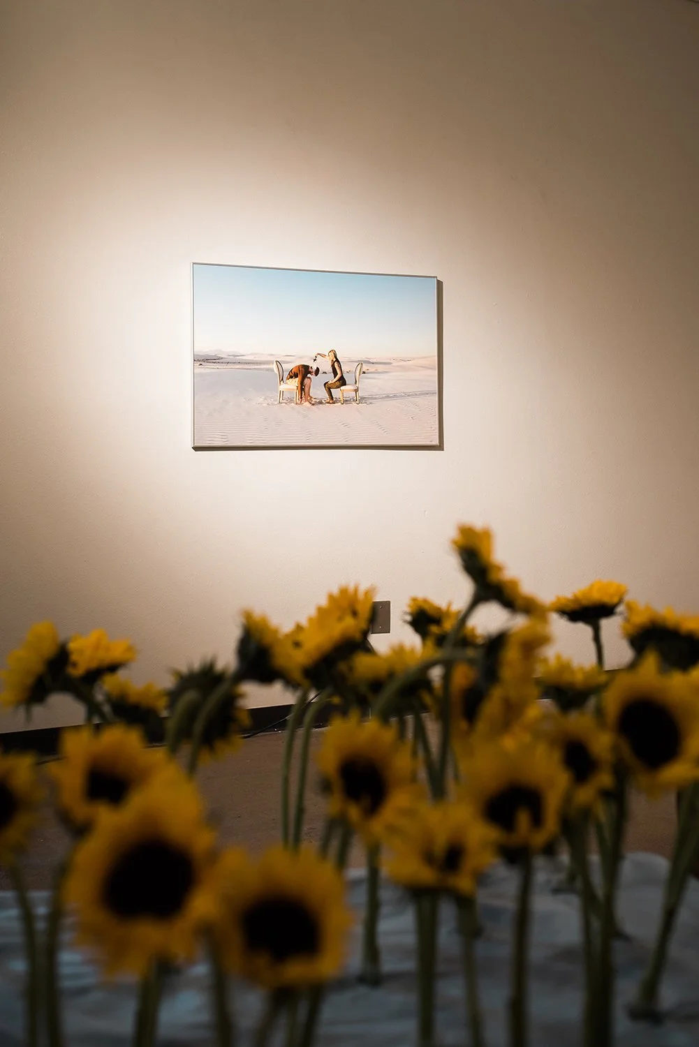 Evocative Objects (solo exhibition), CFA Downtown Gallery, Albuquerque, New Mexico, 2016