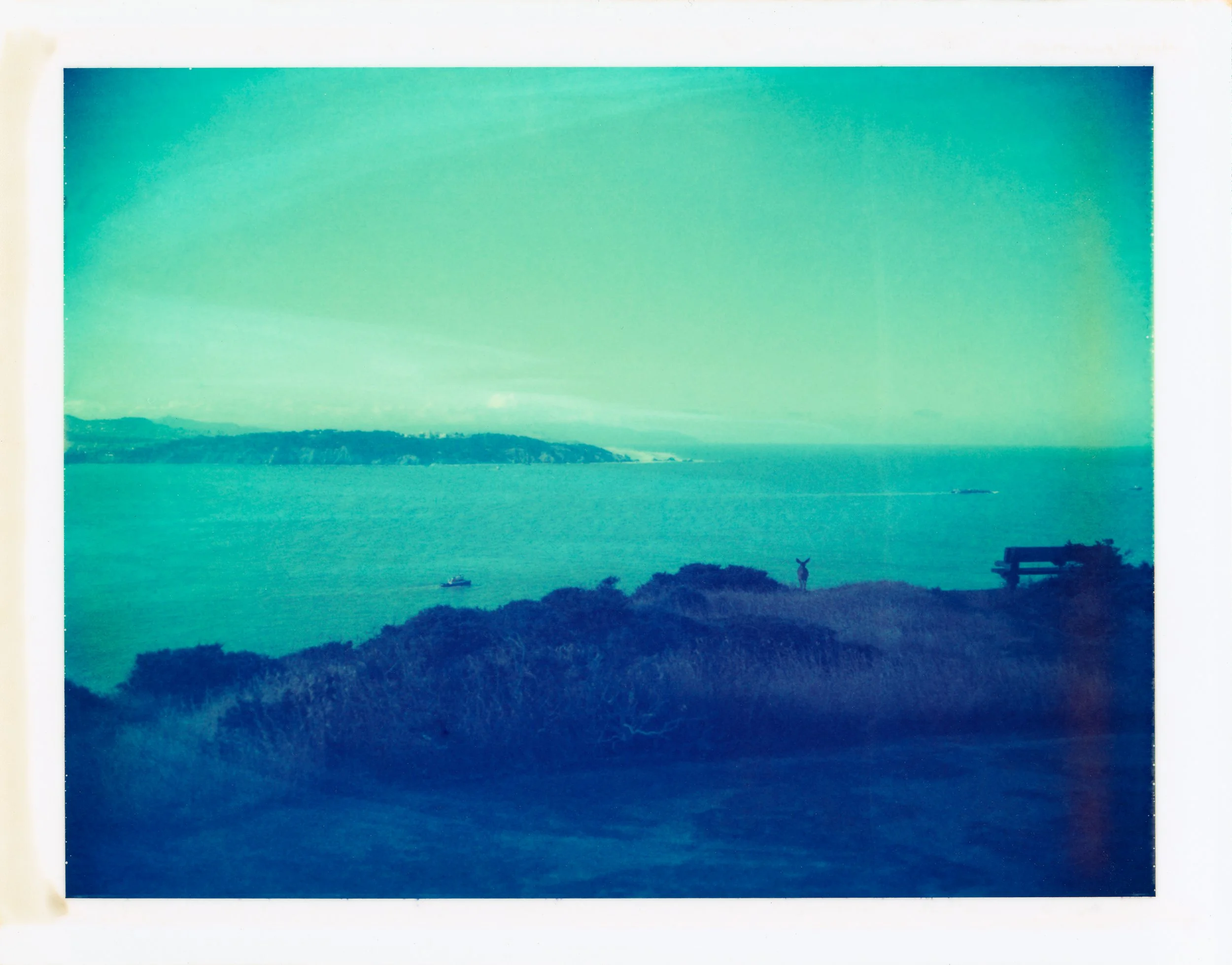 headlands-12.jpg