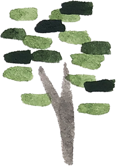 Collection of various green and dark green bushes and shrubs.