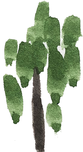 Illustration of a tree with multiple green foliage clusters and a dark brown trunk.