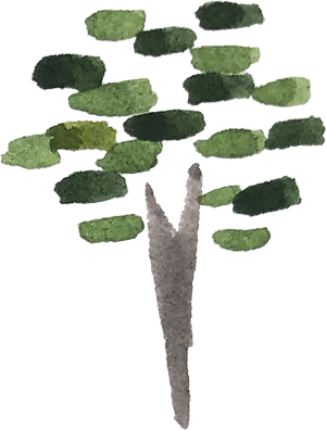 A drawing of a tree with a brown trunk and green oval-shaped leaves.