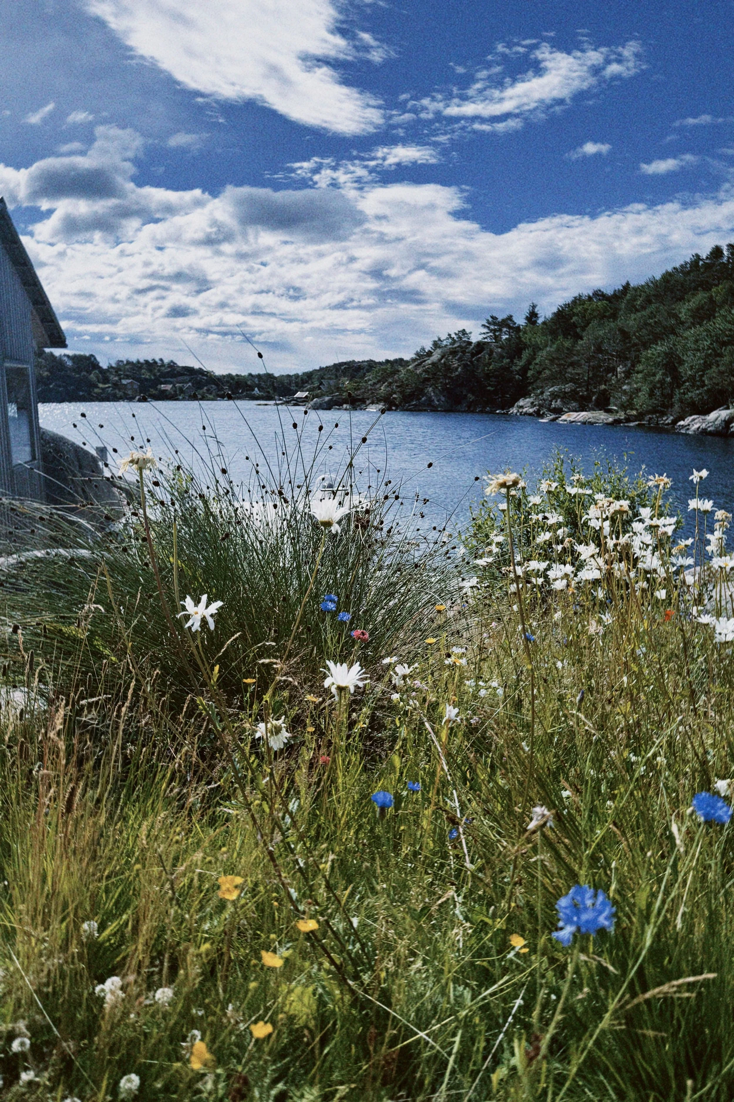 Et landskap med en innsjø omgitt av grønne trær og fjell, en blå himmel med spredte skyer, og blomster i forgrunnen.