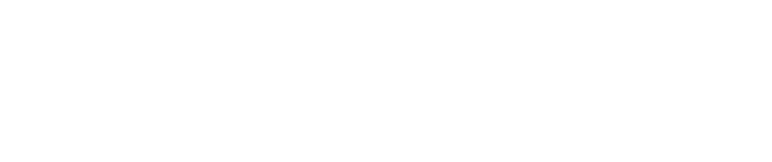 denver logo white