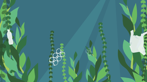 Screen+Shot+2019-03-05+at+8.43.08+PM.png.webp