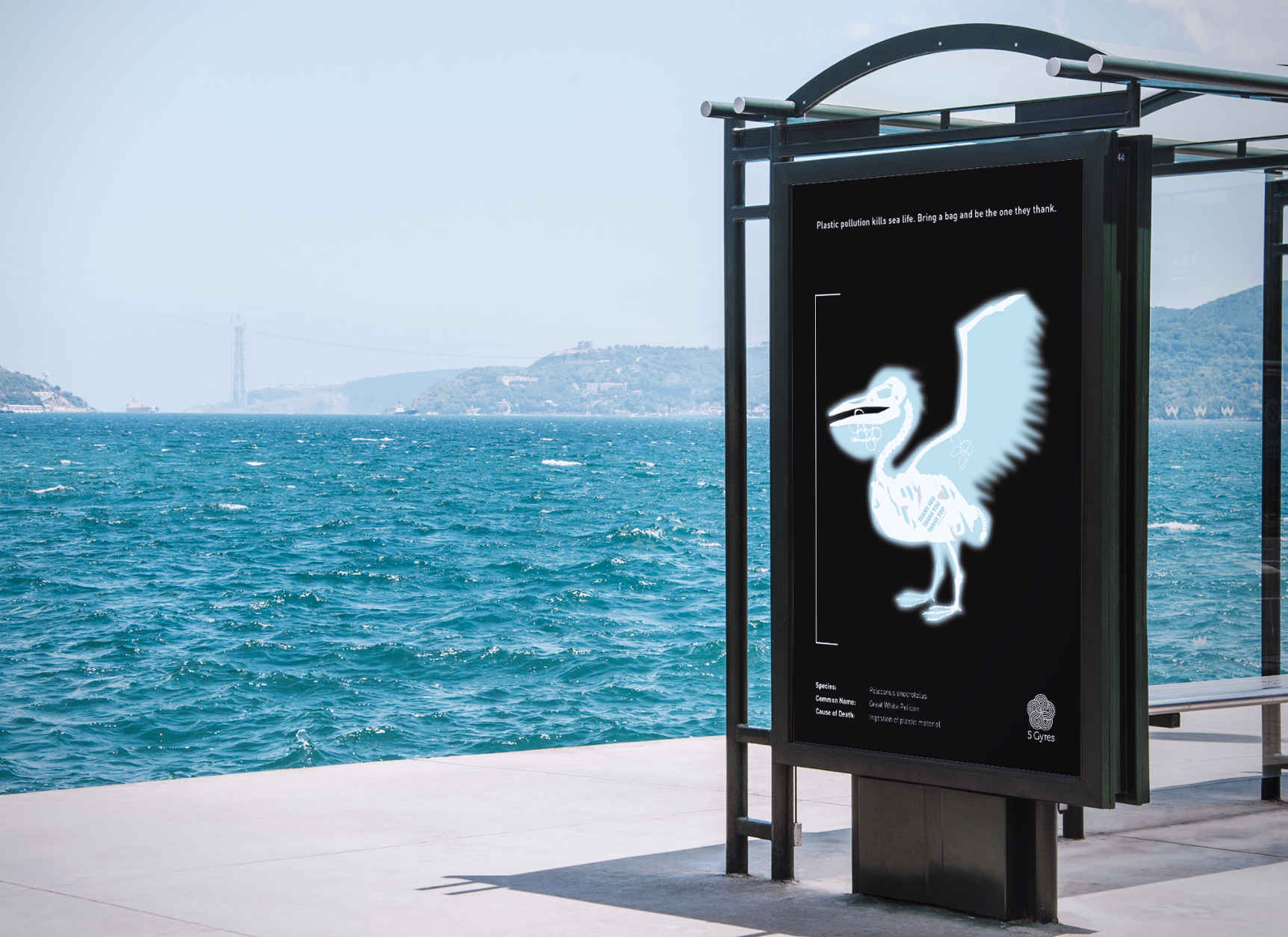 PelicanBusStop1.webp