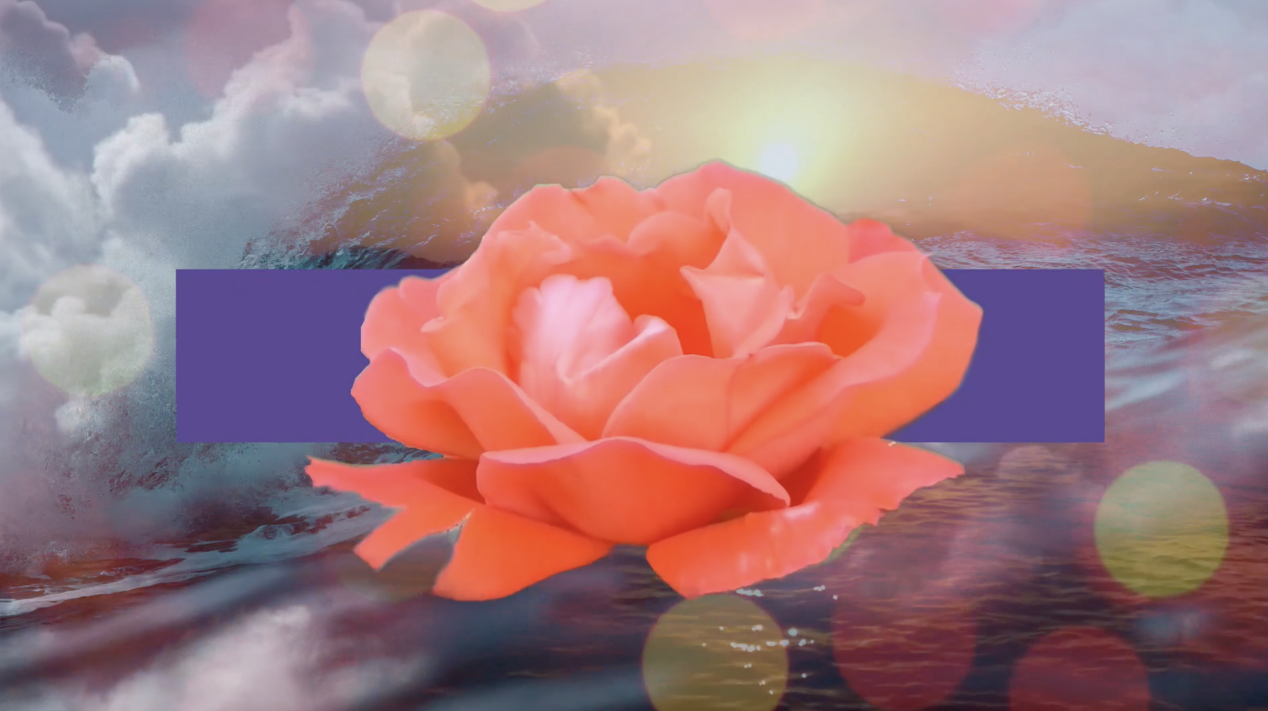Screen+Shot+2019-05-12+at+2.32.44+PM.png.webp