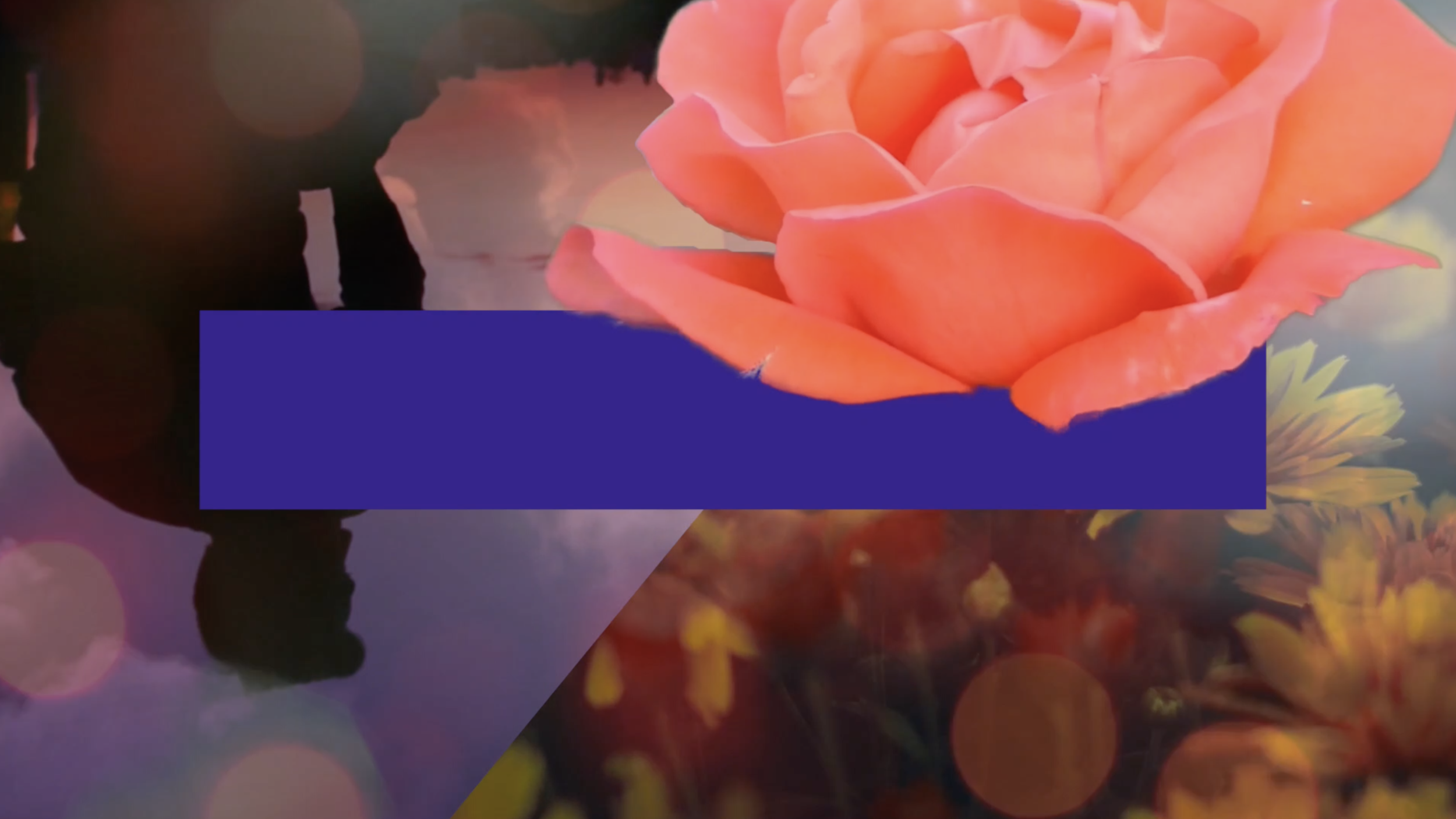 Screen+Shot+2019-05-12+at+2.32.12+PM.png.webp