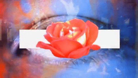 MFA | Dagny - Ultraviolet Music Video