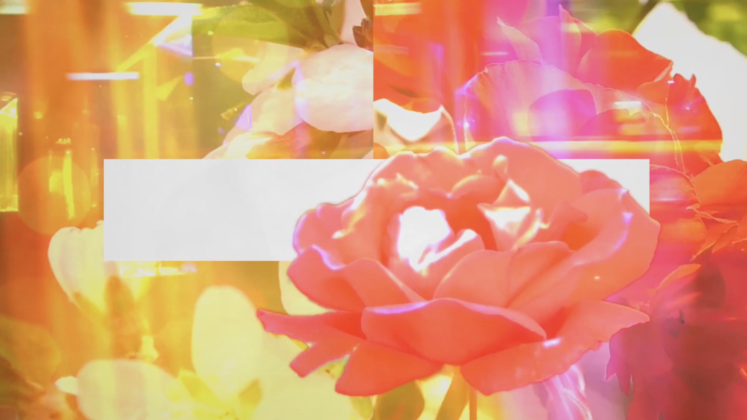 Screen+Shot+2019-05-12+at+2.33.22+PM.png